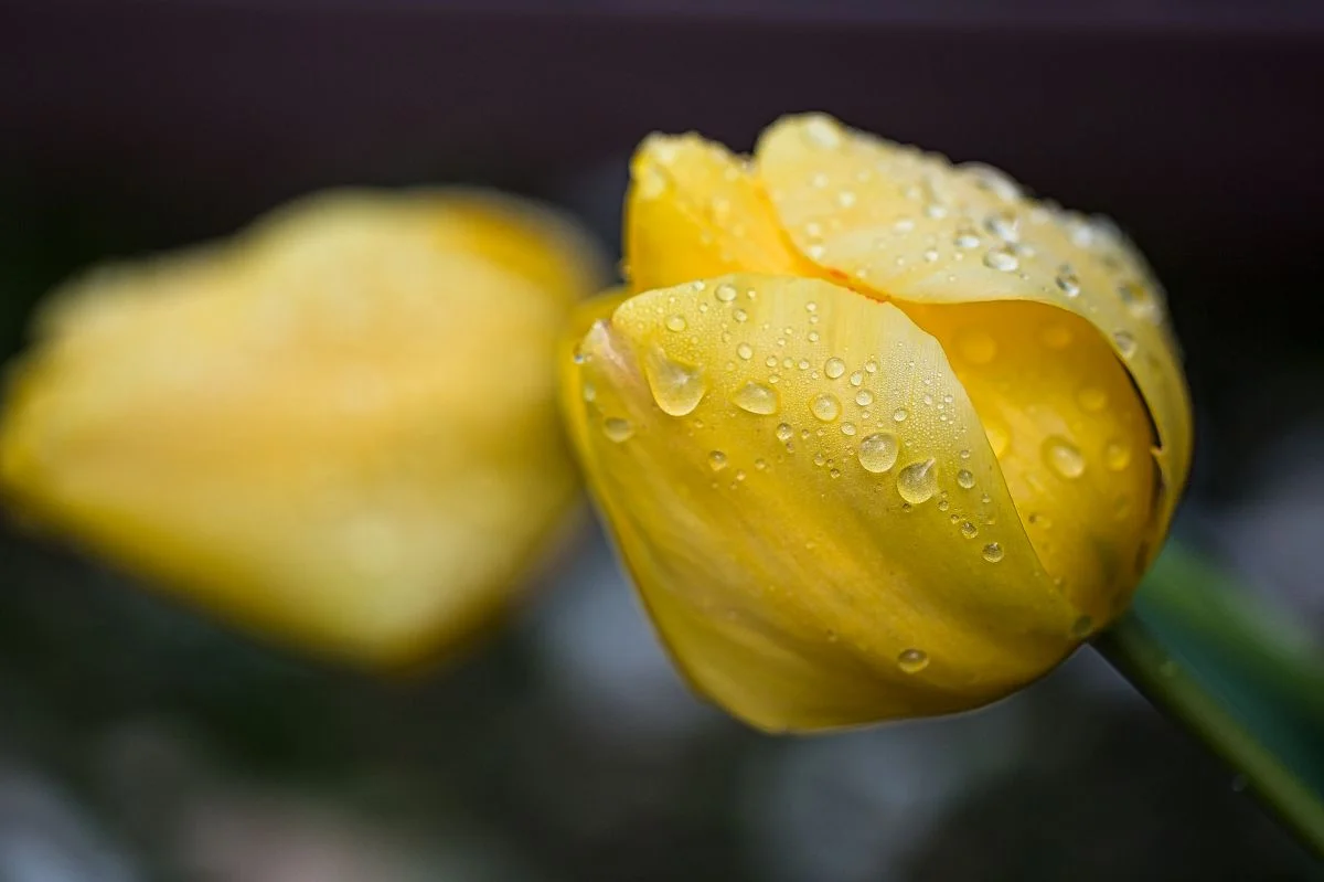 IMG_4644-Edit.jpg