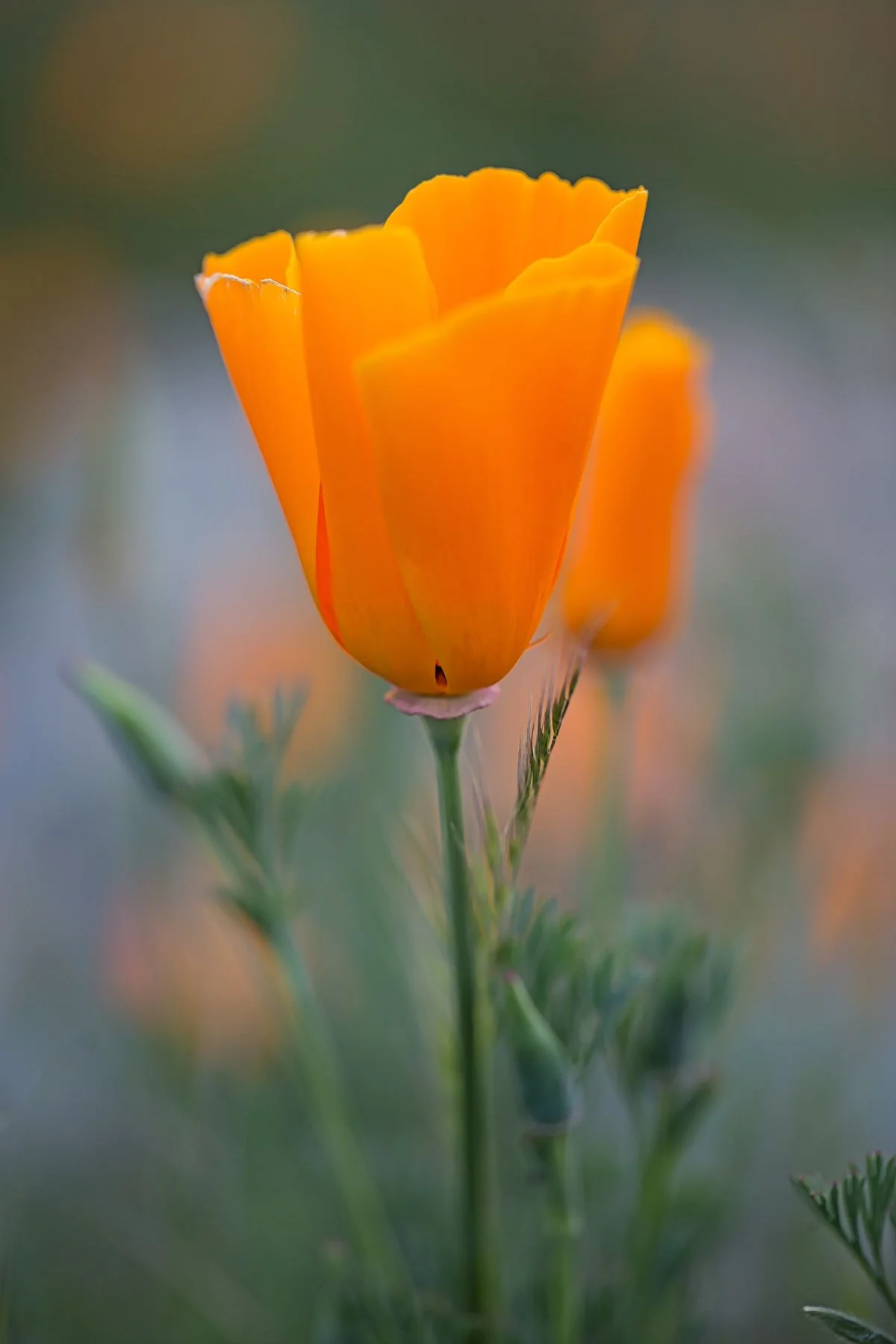 IMG_4708-Edit-Edit.jpg