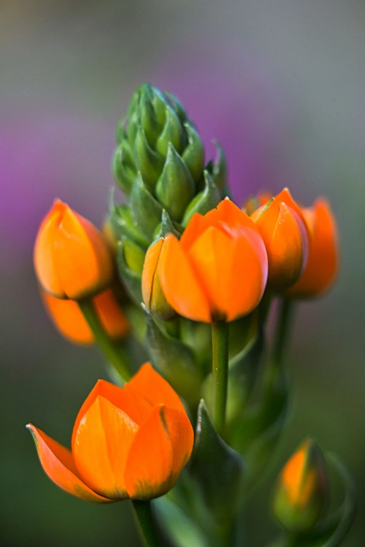 IMG_4778-Edit.jpg