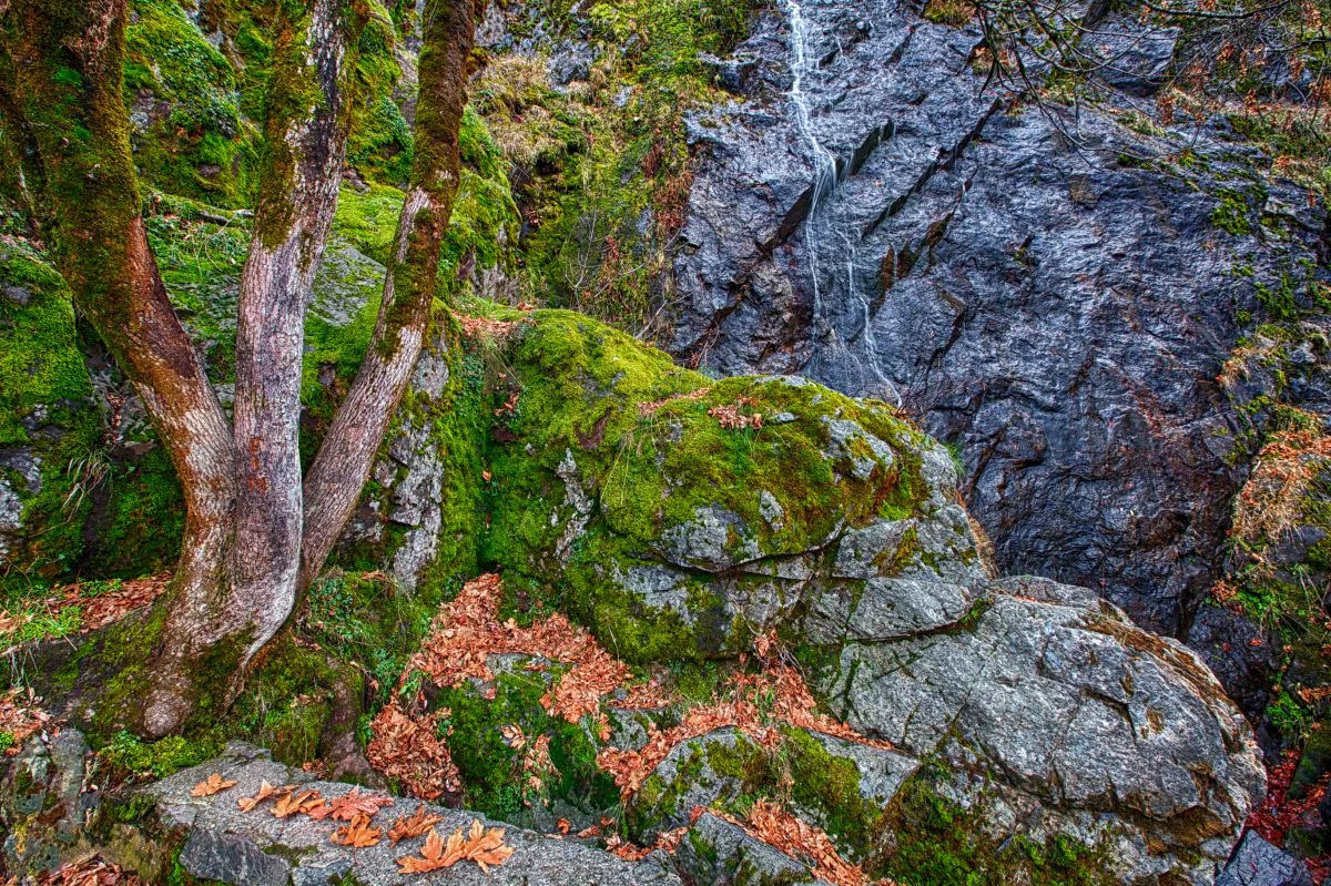 IMG_2834_HDR-Edit.jpg