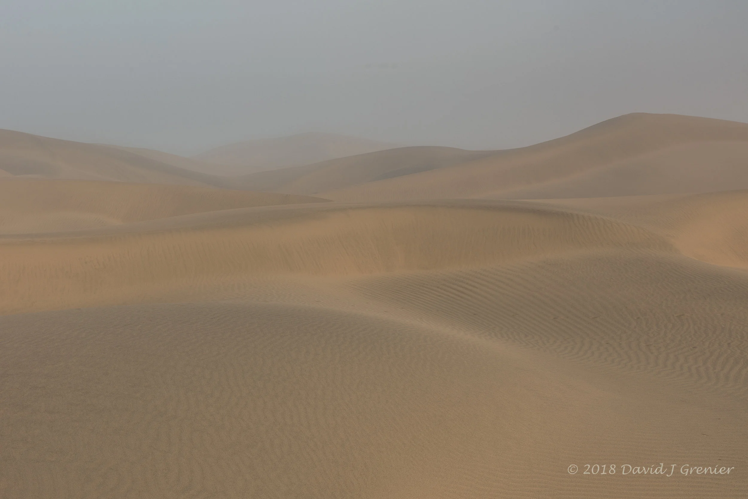 One of the first images shot before the sun burnt through, the beautiful flowing lines of pristine dunes in the fog.