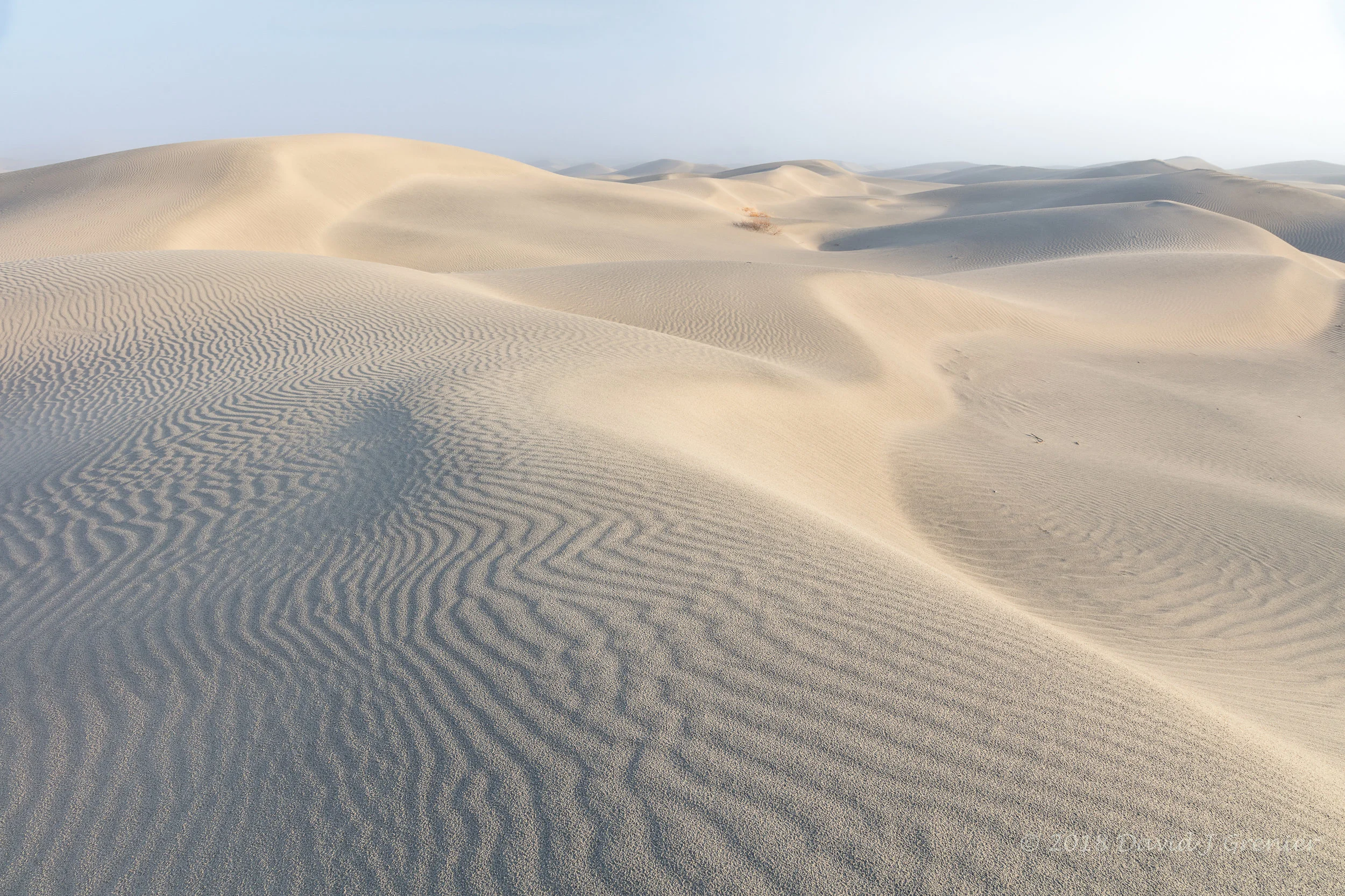 The patters in the dunes, the low light and the distant fog..............