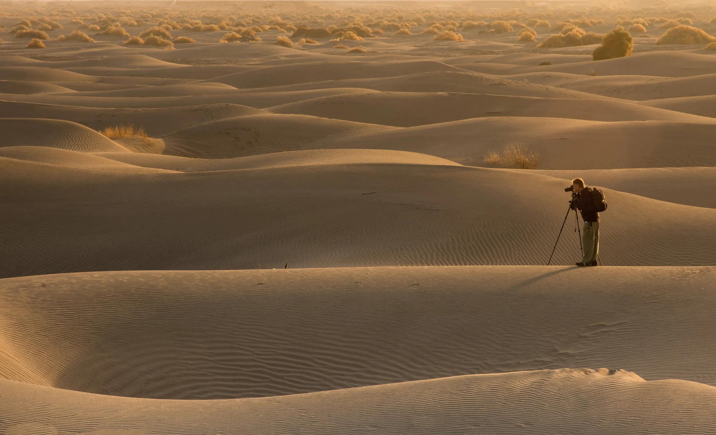 A special morning in the Mesquite Flat Sand Dunes, Death Valley, January 11, 2018 - photo courtesy Joe Naccache.