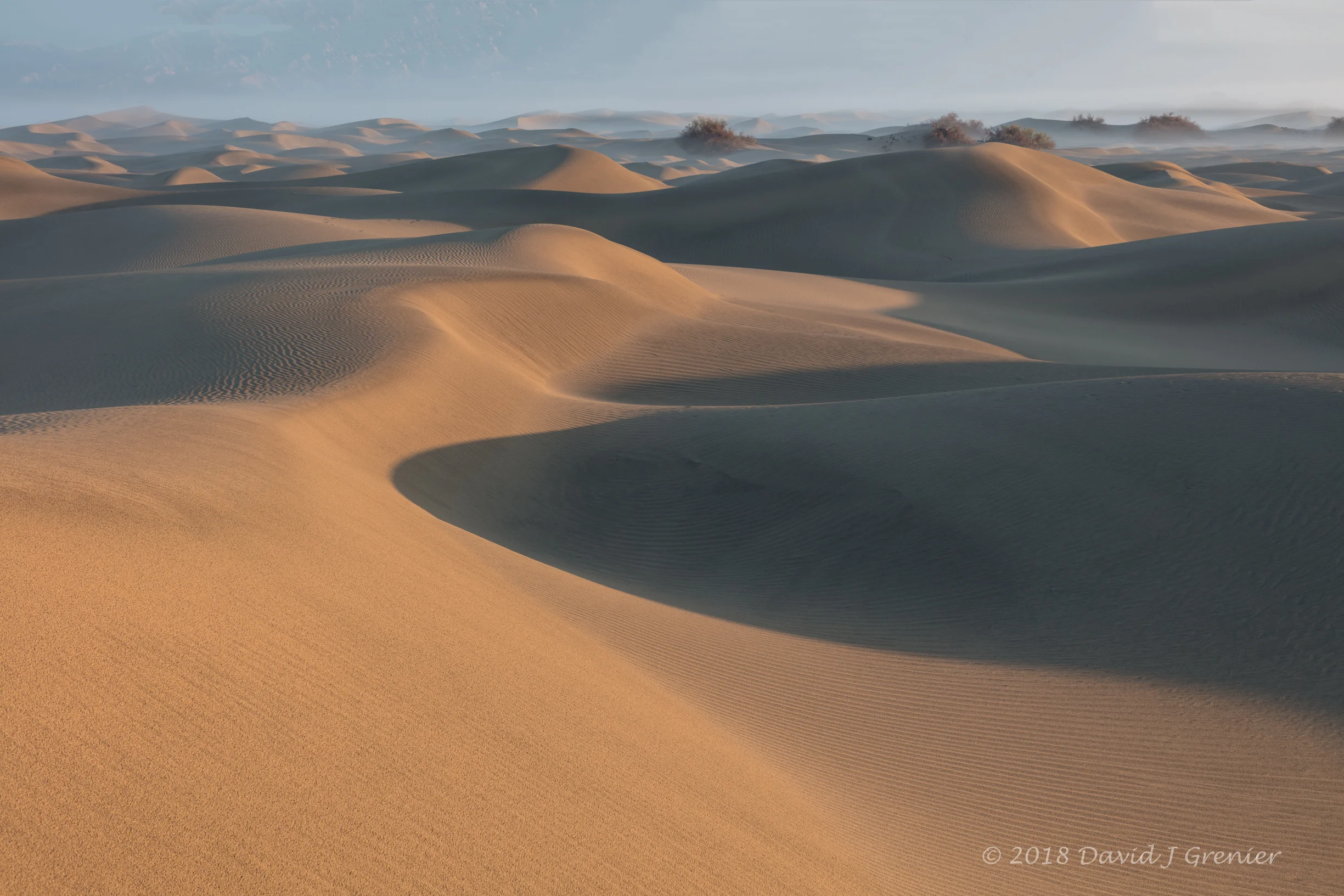 Fog, shadows and light on the dunes........
