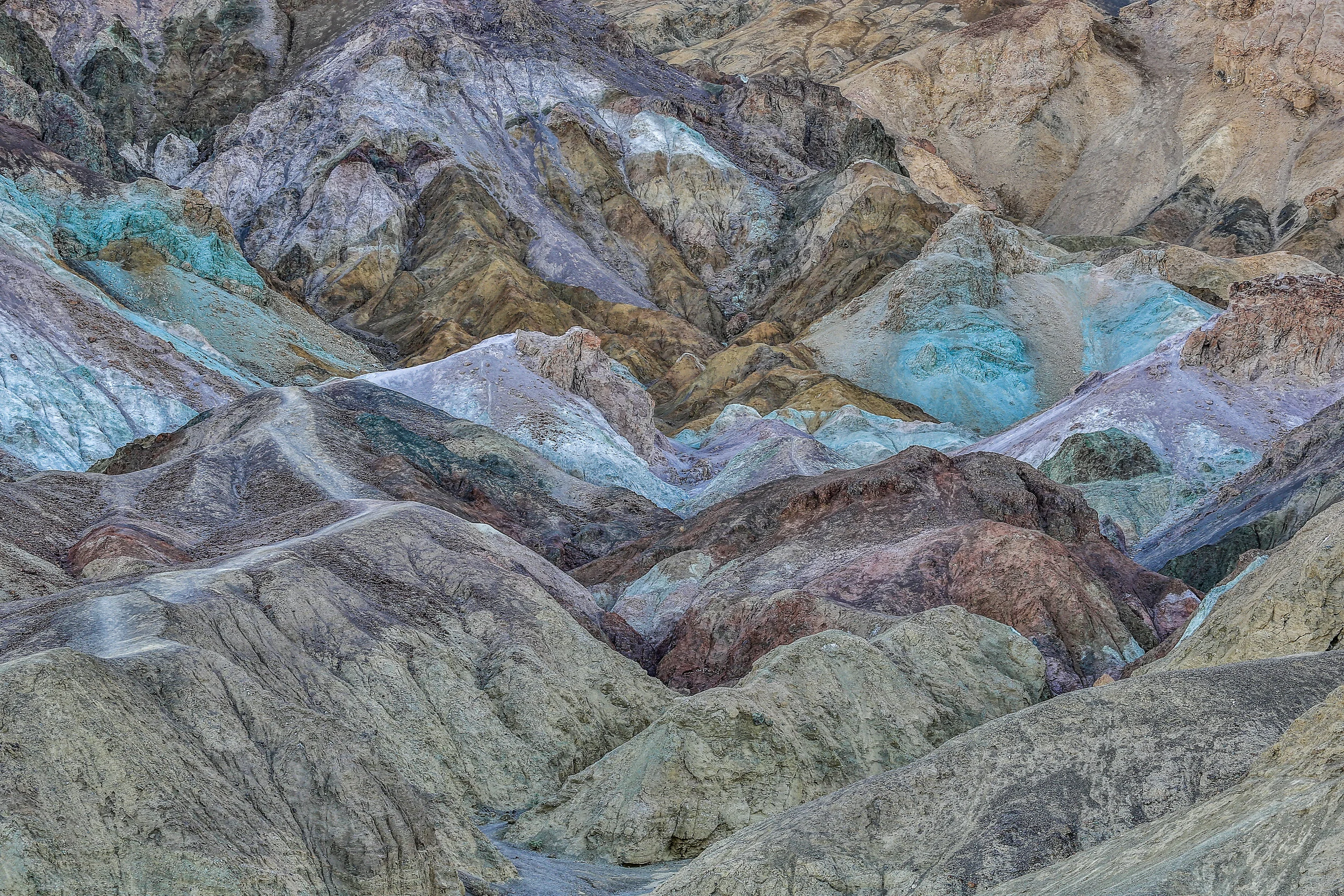 IMG_1384-Edit.jpg