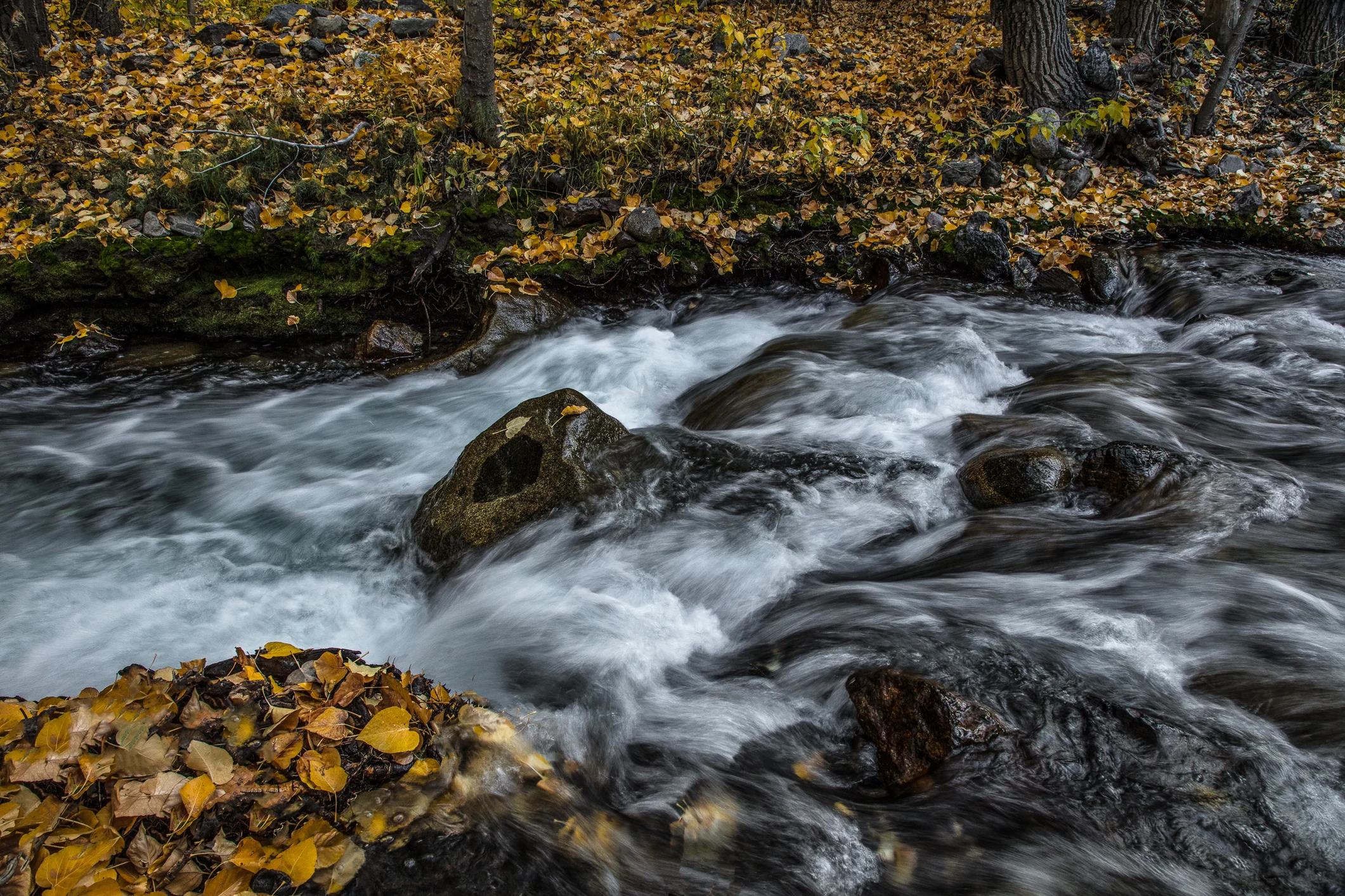 IMGL6103-Edit.jpg