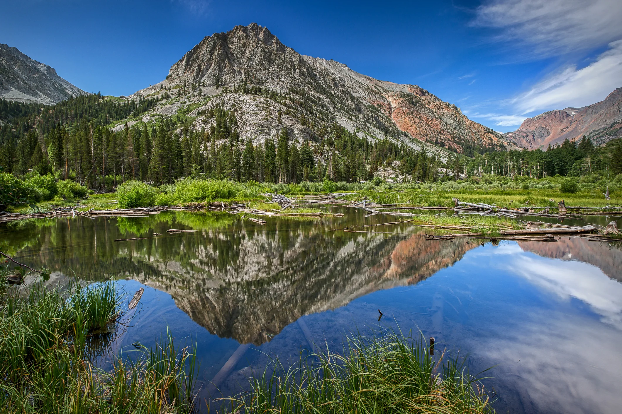 IMG_7148-Edit-Edit.jpg