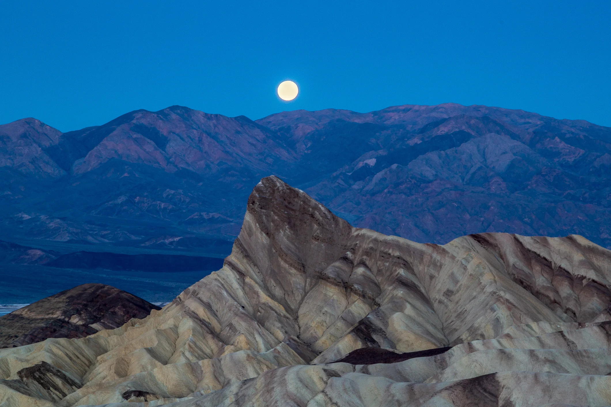 IMG_3333-Edit-3-Edit.jpg