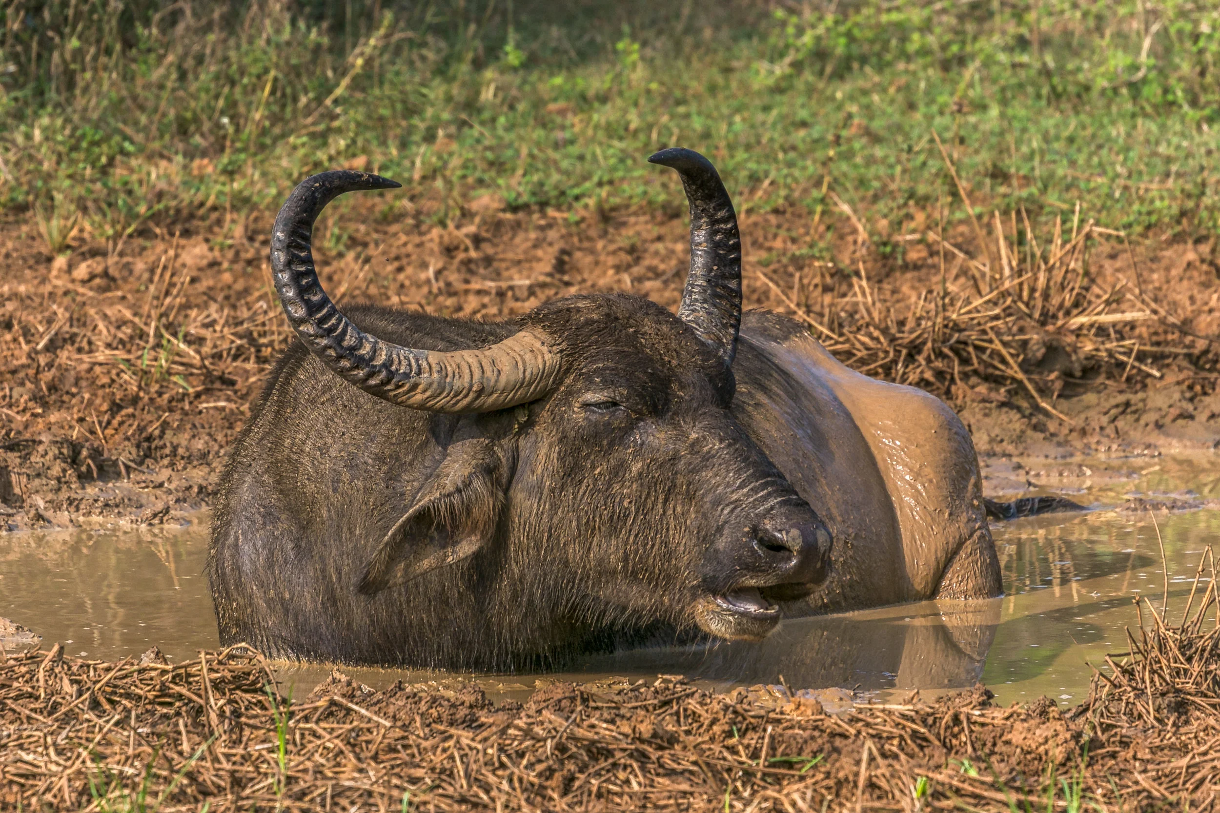 IMG_4648-Edit-2-Edit.jpg
