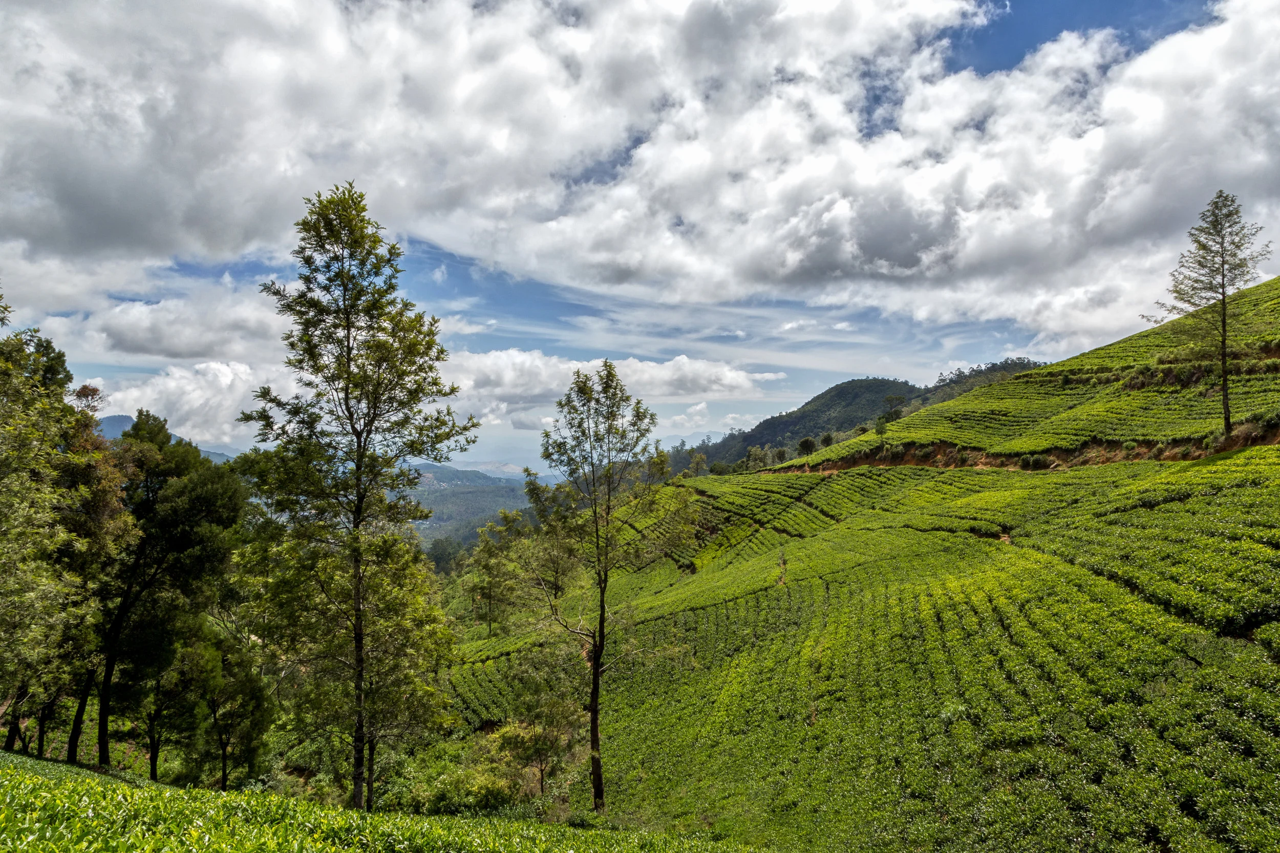 IMG_8363-Edit-2-Edit.jpg