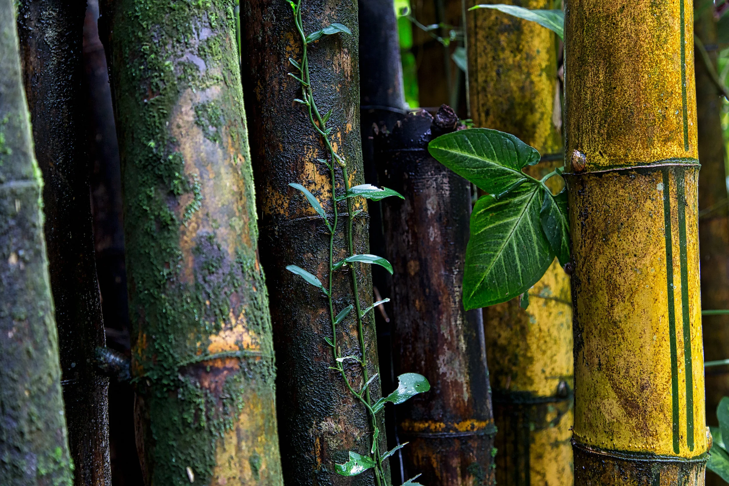 IMG_8461-Edit.jpg
