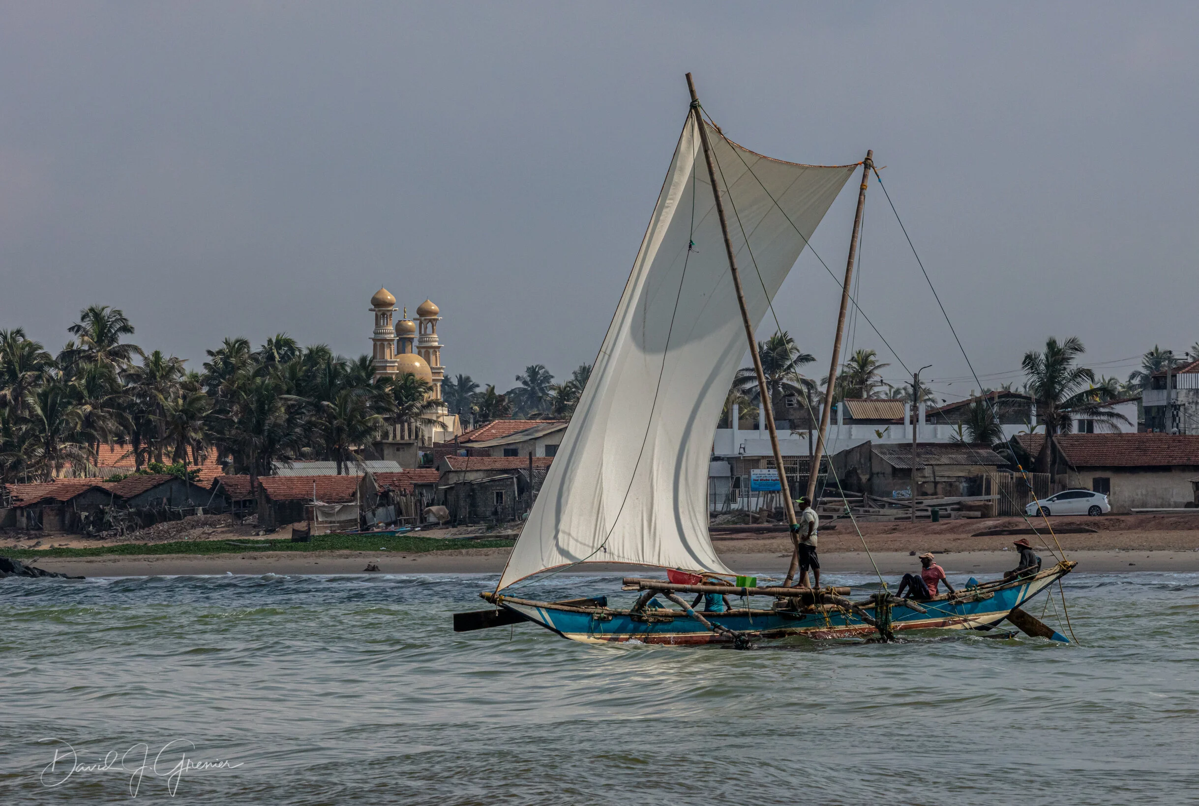 IMGL6835-Edit.jpg