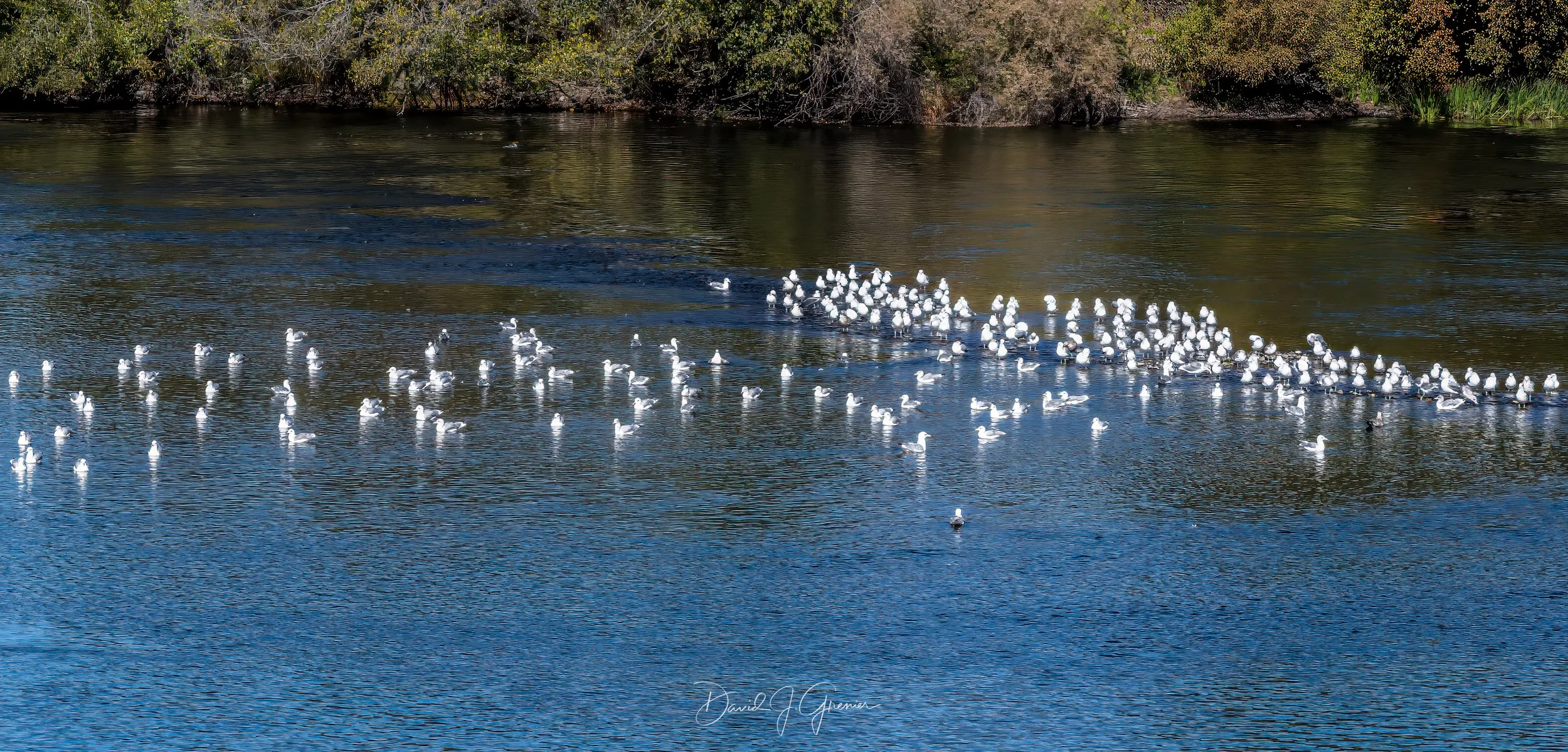 IMG_3853-Pano-Edit-Edit.jpg