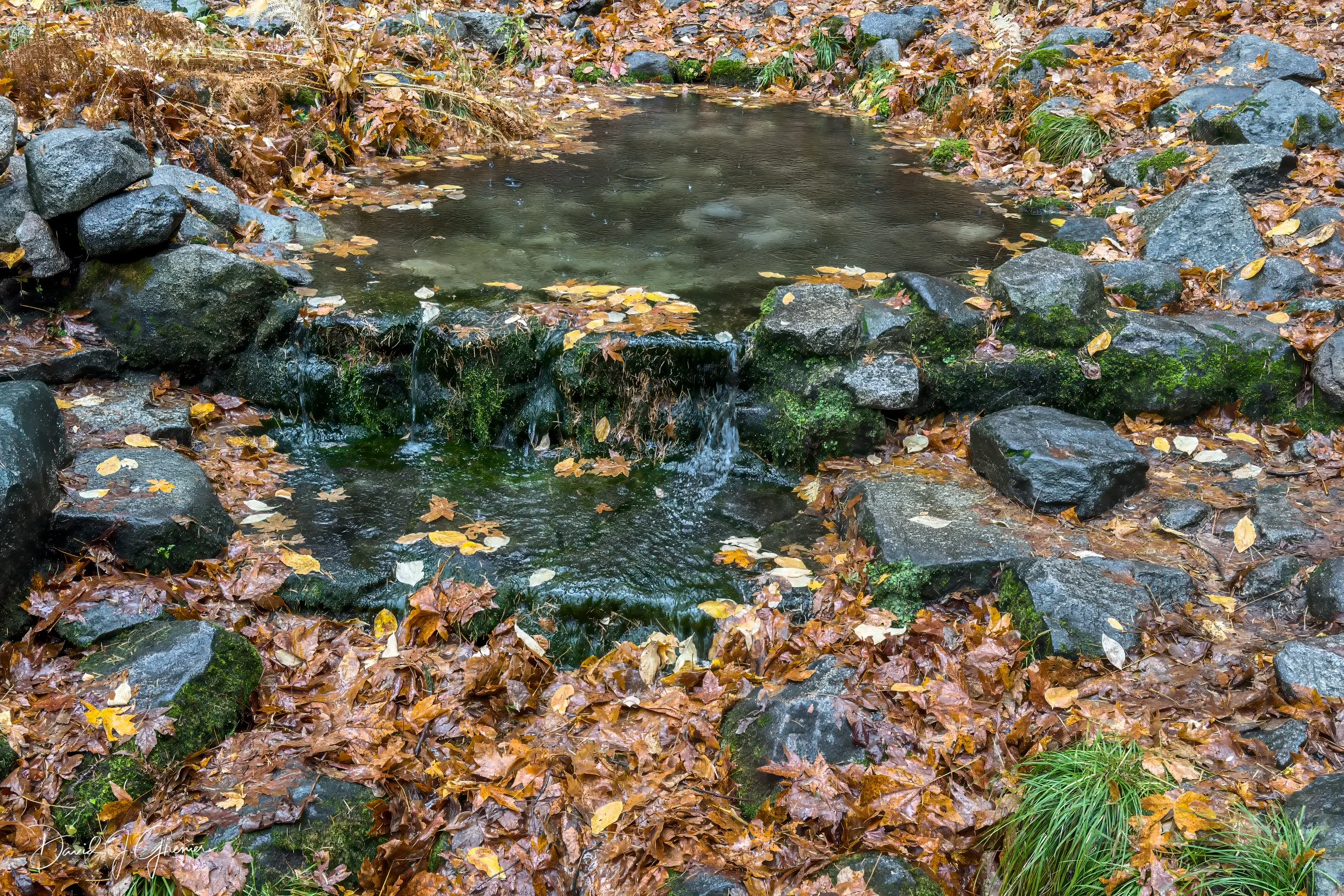 IMG_4100-Edit-Edit.jpg