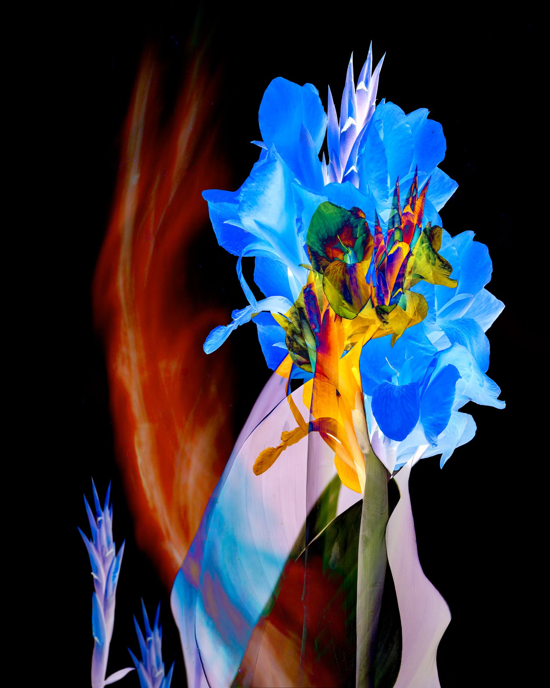 _24A5792-Edit-Edit-Edit-Edit-2-Edit-Edit-Edit.jpg