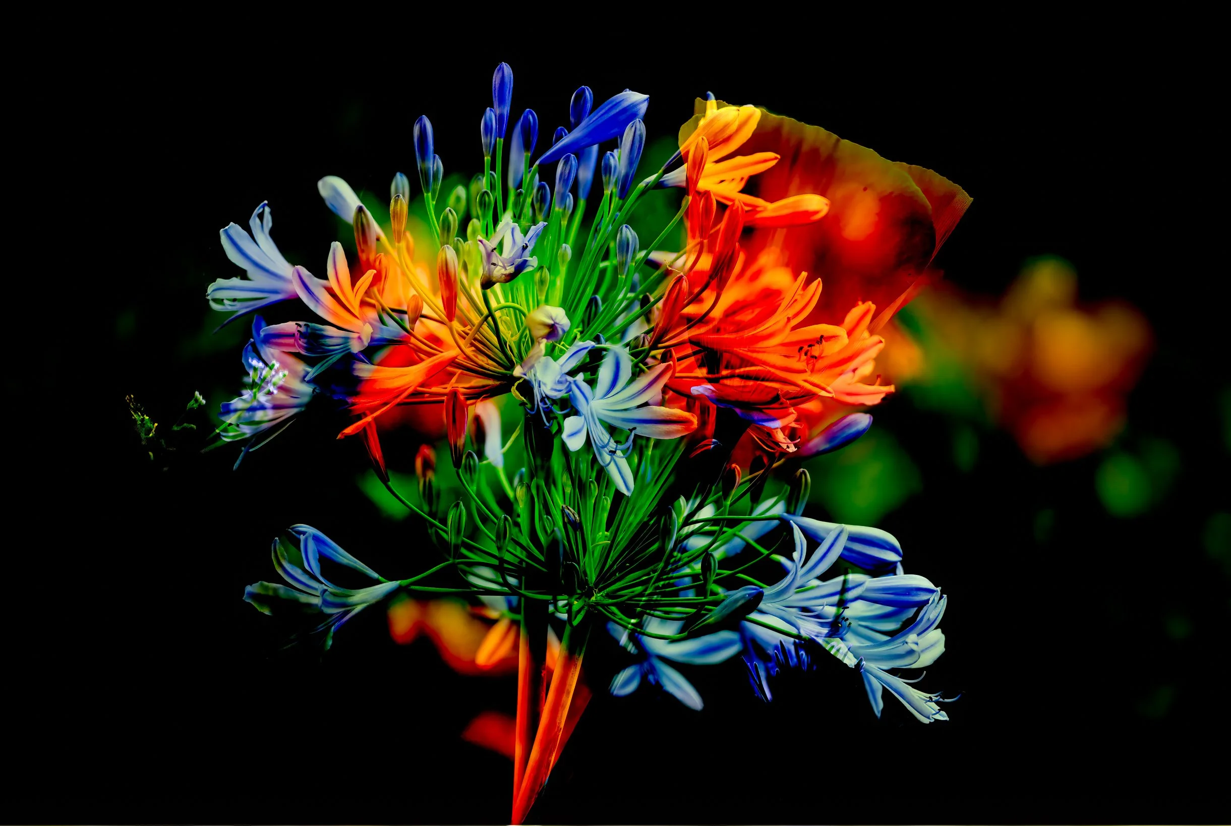 _24A9256-Edit-Edit-Edit-Edit-5-Edit.jpg