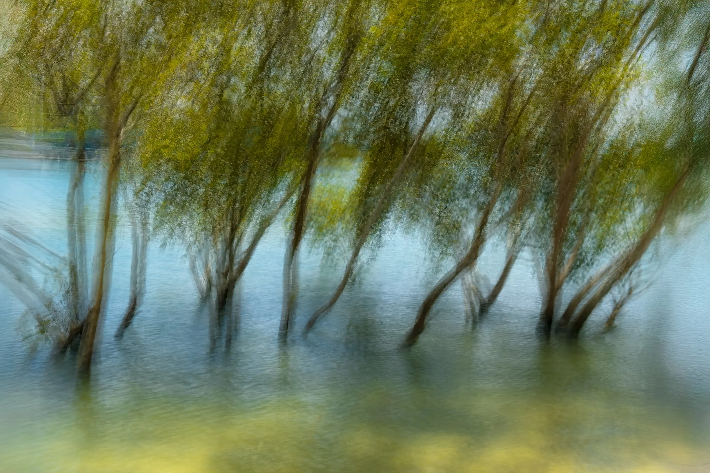 IMG_4984-Edit-Edit-Edit.jpg