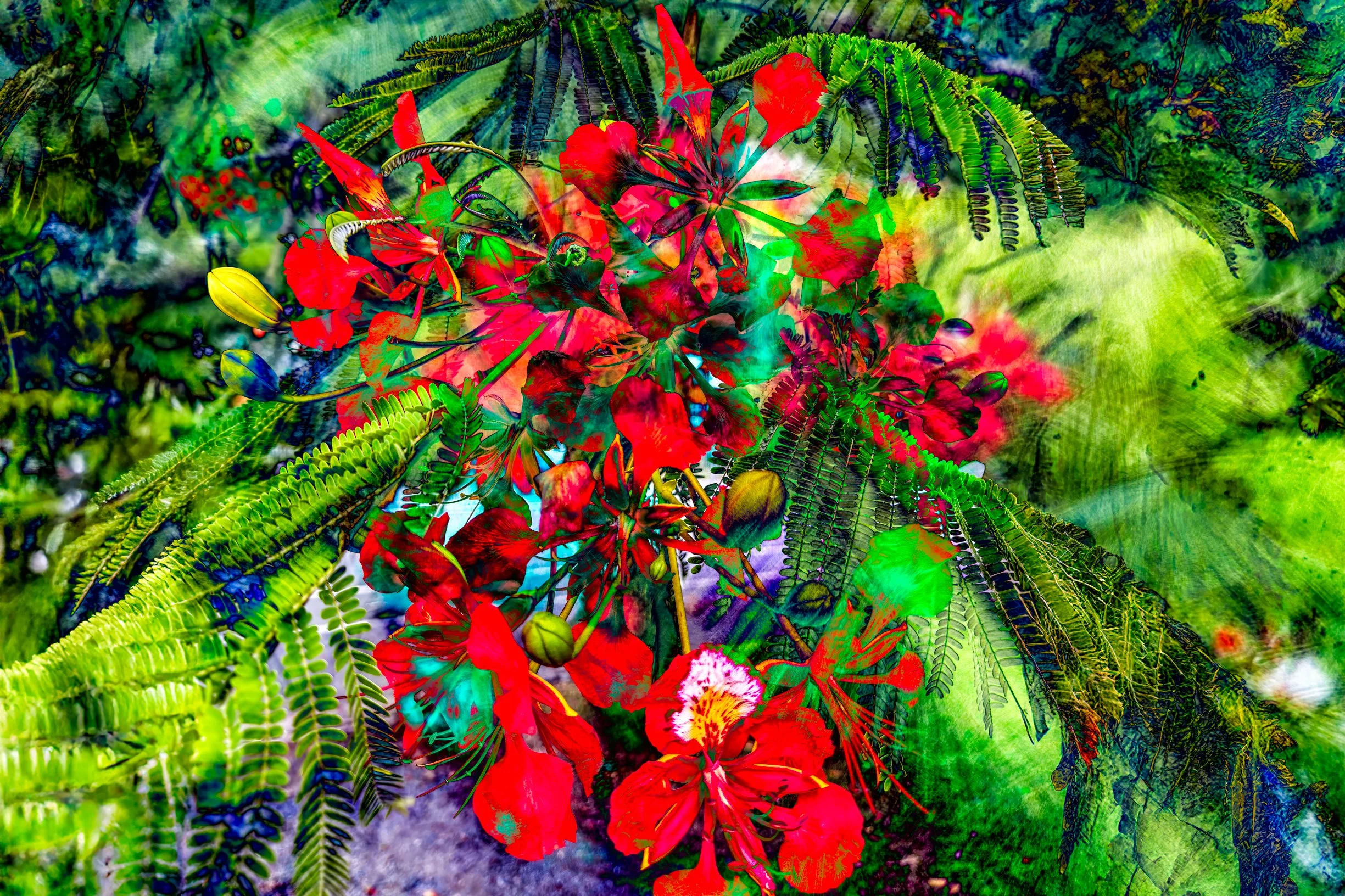 IMG_4979-Edit-Edit-Edit-Edit.jpg