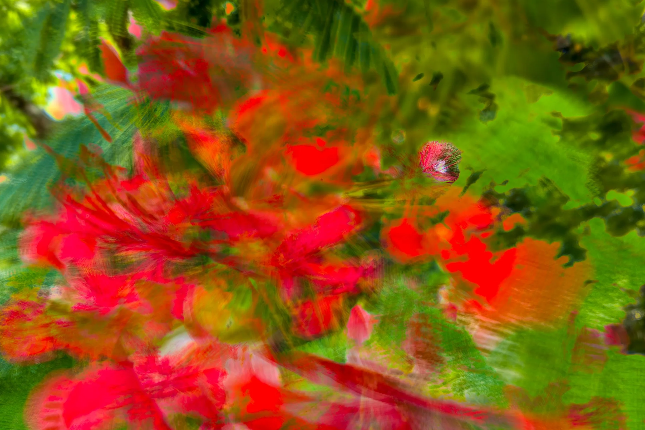 IMG_5030-Edit-Edit.jpg
