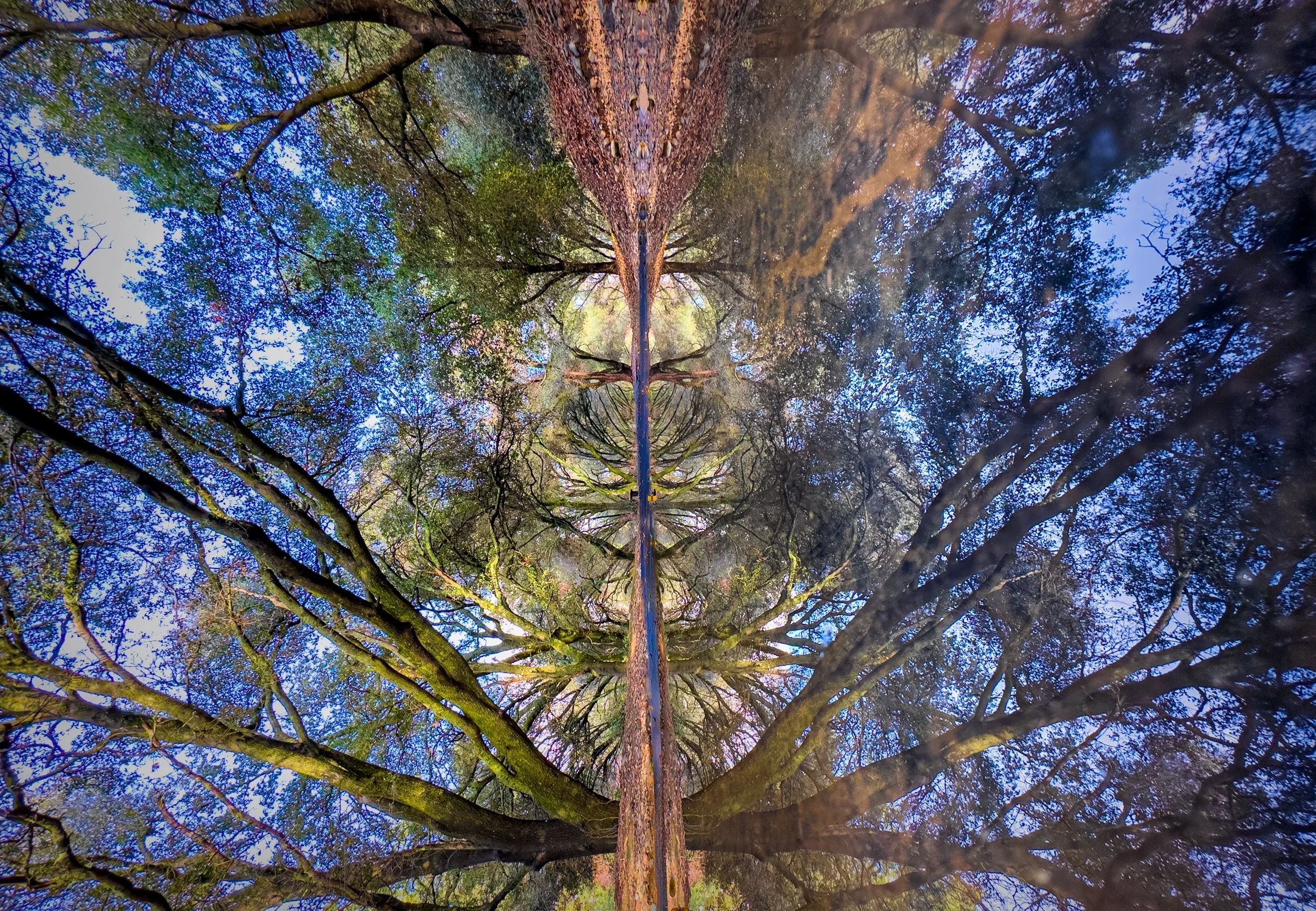 IMG_8769-Edit-1-Edit-Edit.jpg