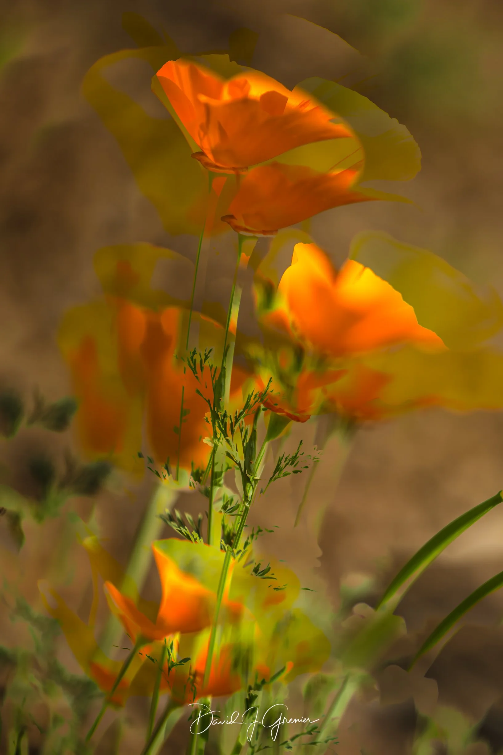 _24A5772-Edit-Edit.jpg