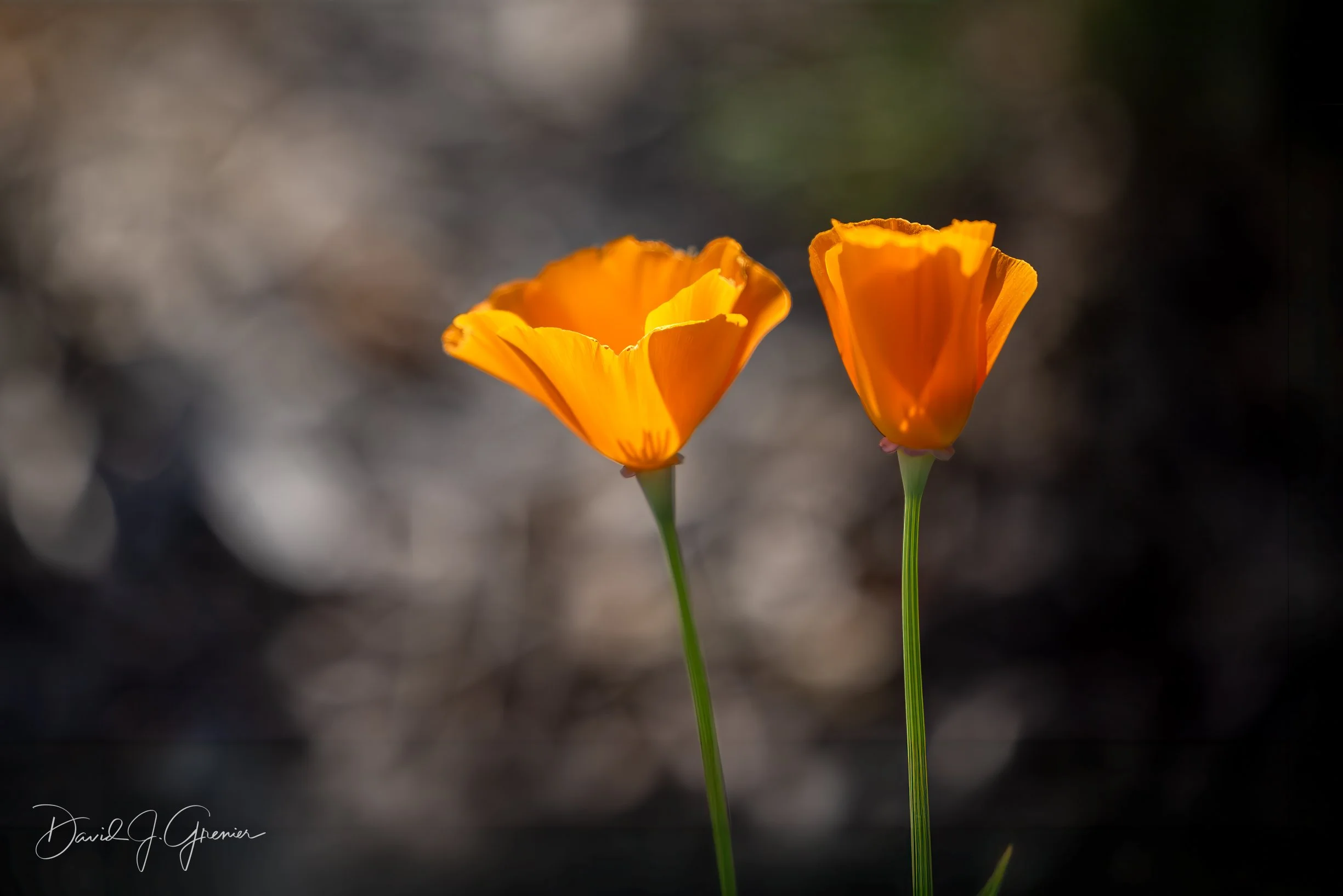 _24A5765-Edit-Edit-2.jpg