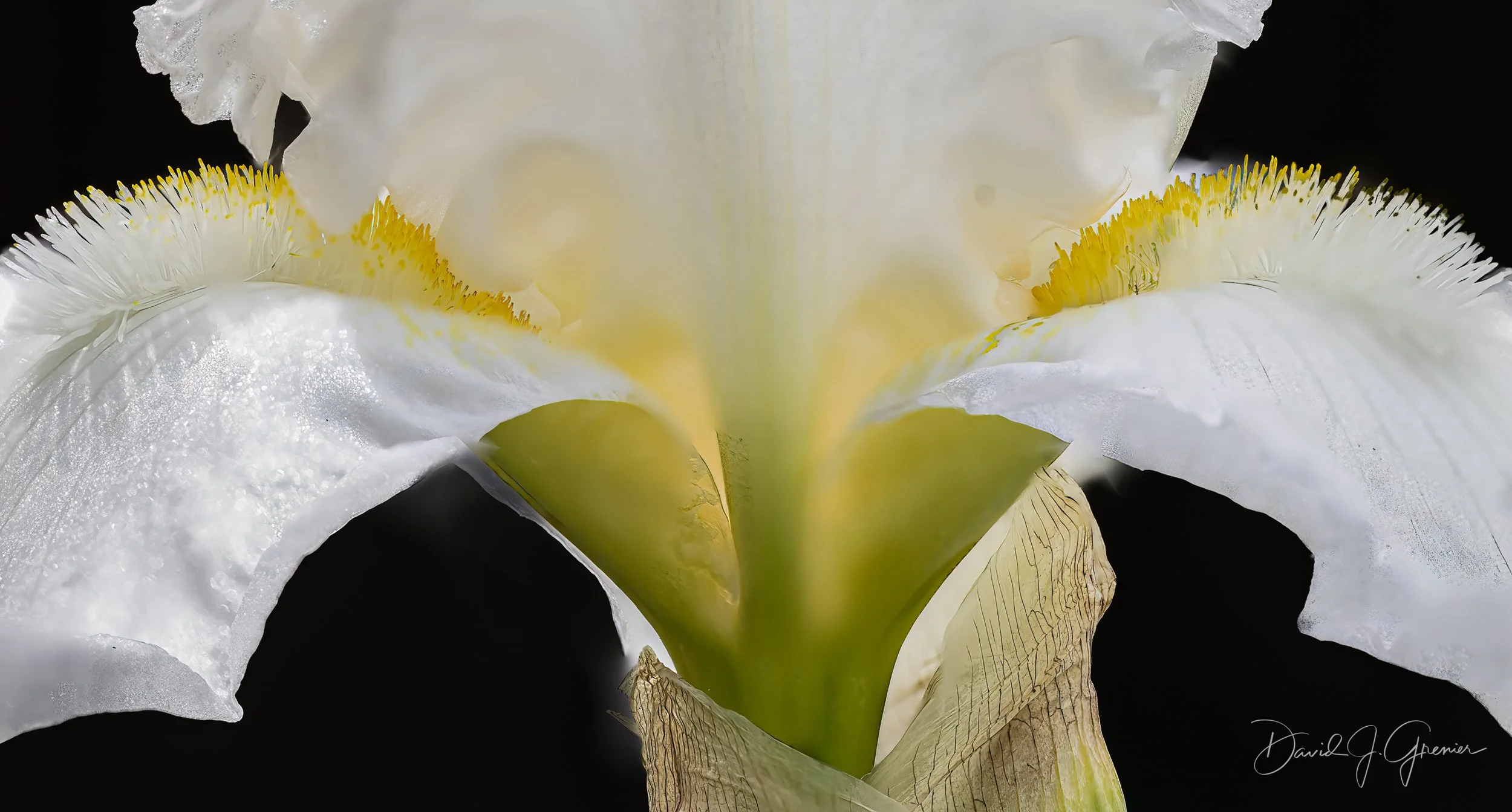 _24A5866-Edit-Edit-Edit-Edit-Edit.jpg