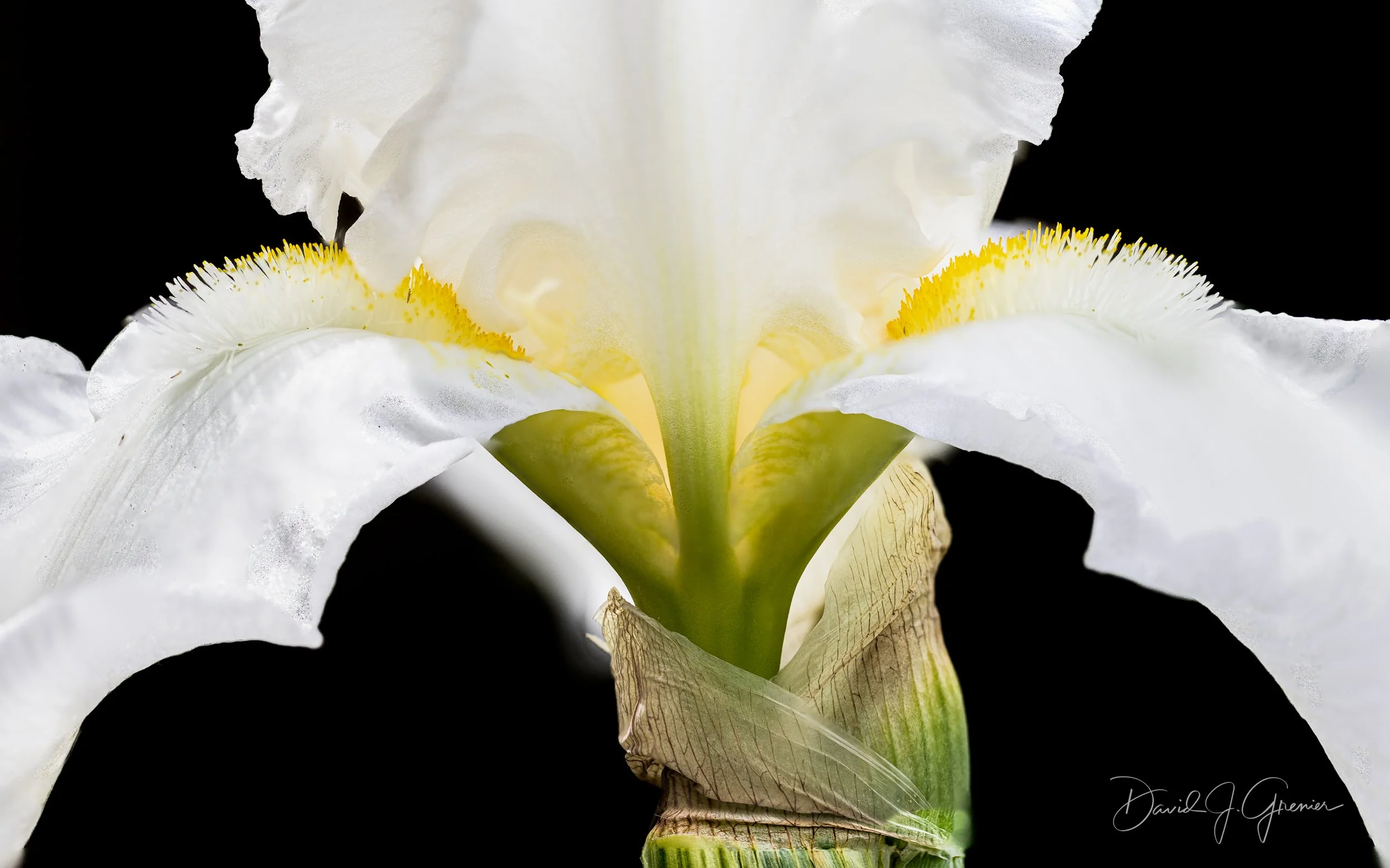 _24A5833-Edit-Edit-2.jpg