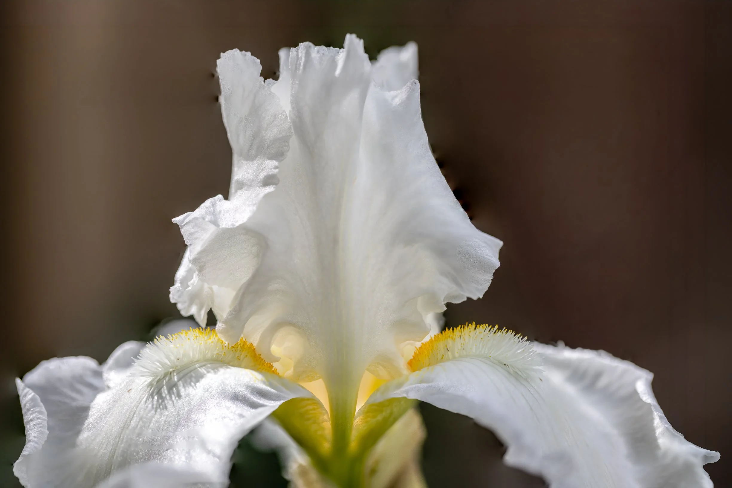 _24A5812-Edit-Edit-Edit-Edit-Edit.jpg