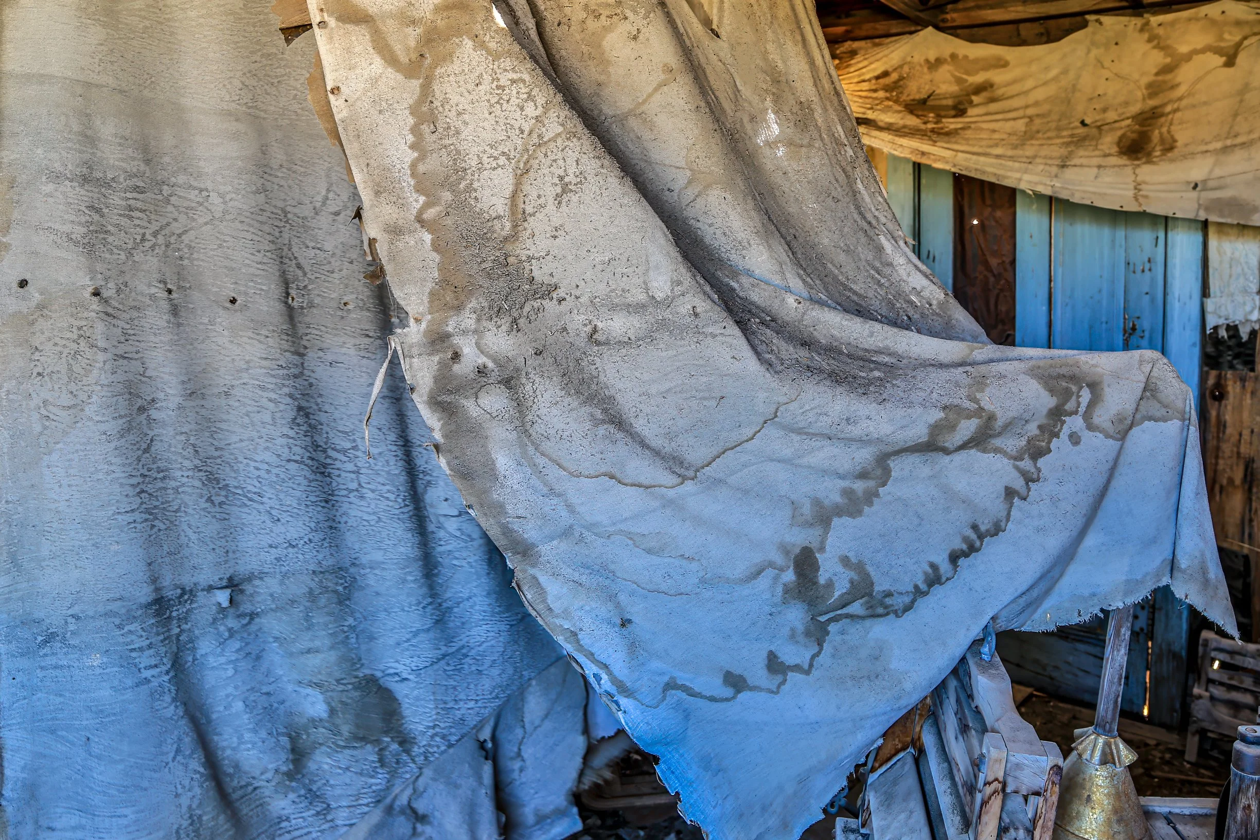 IMG_8055-Edit-Edit.jpg