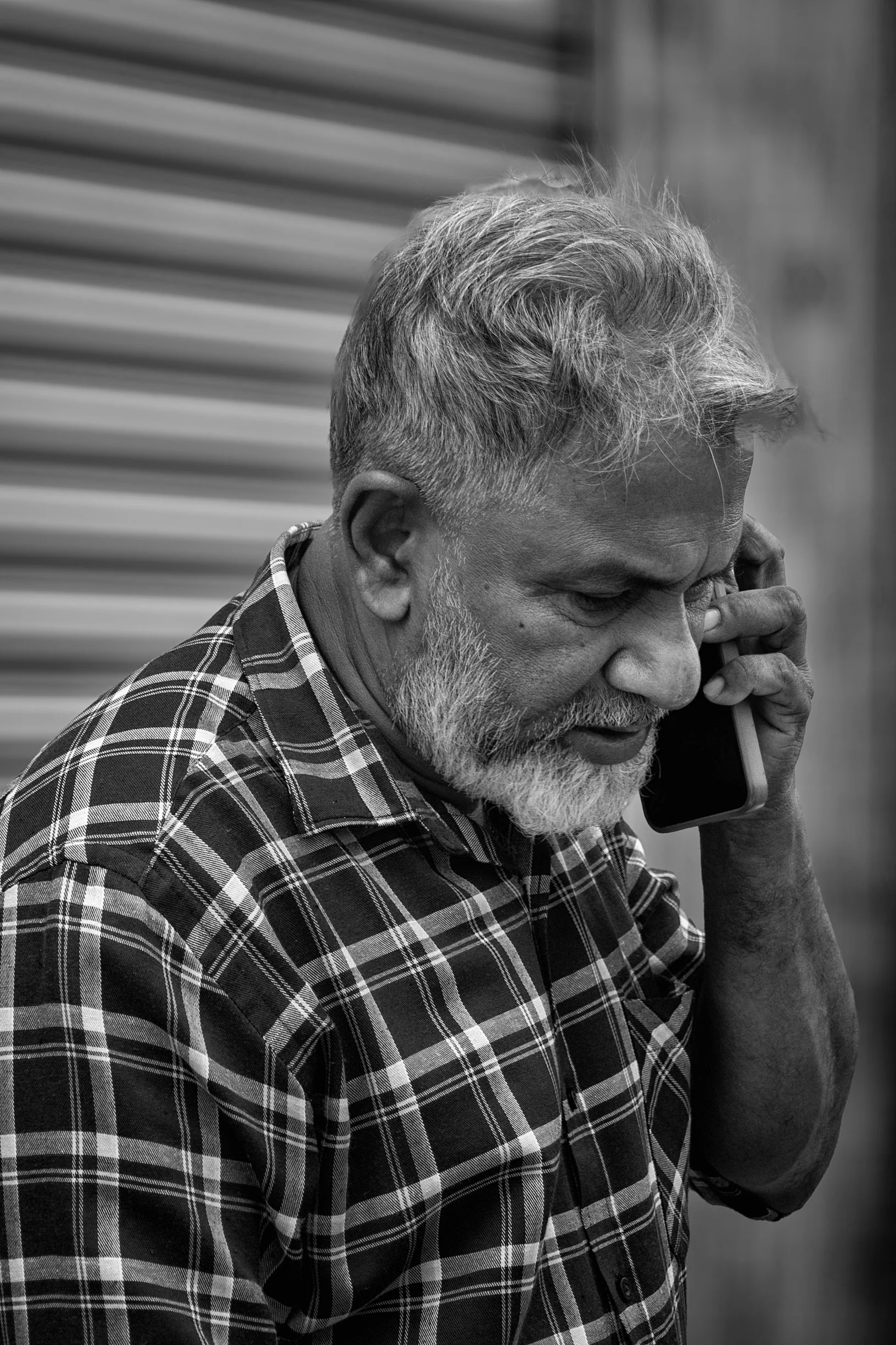 _24A3145-Edit-Edit.jpg