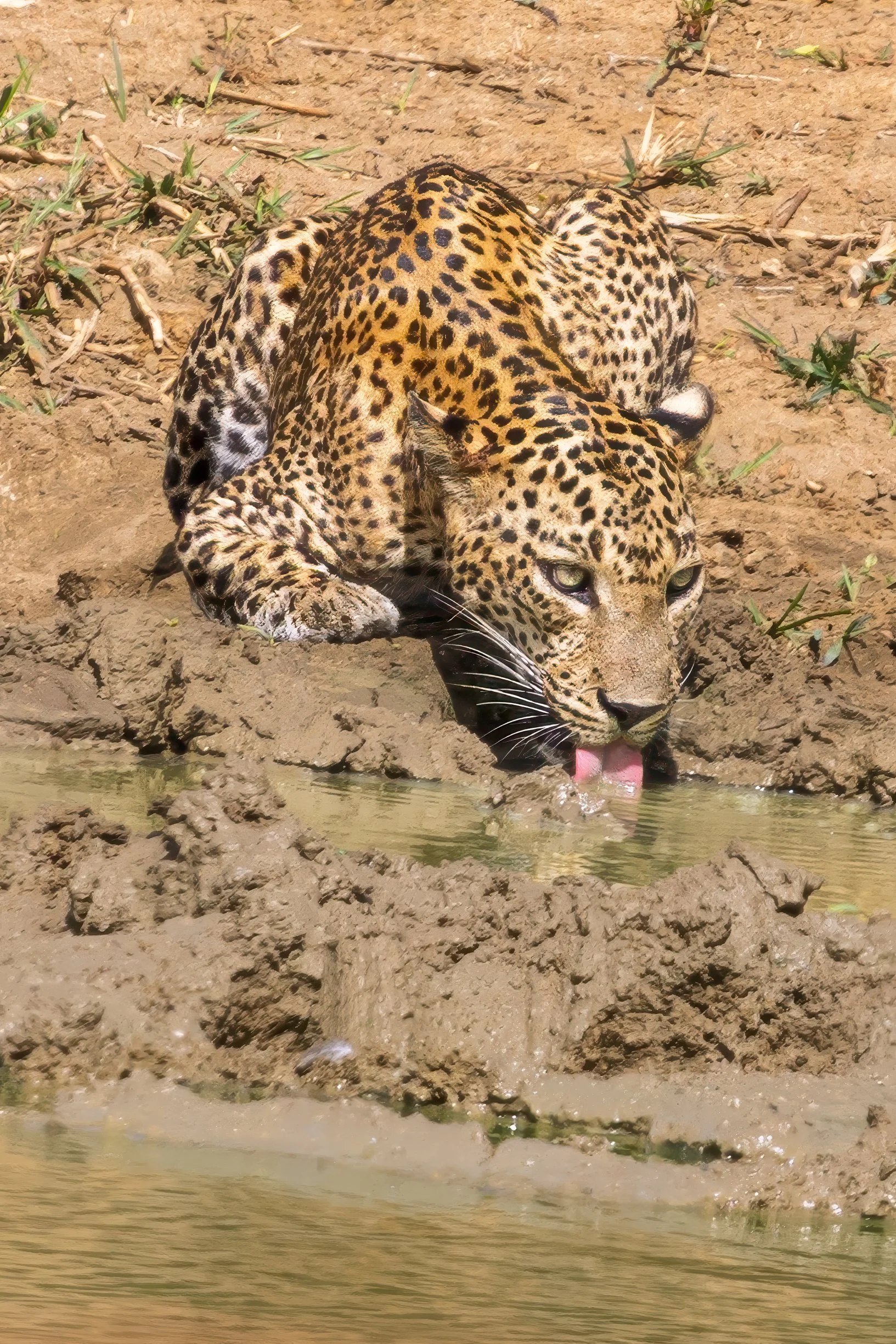 _24A2889-Edit.jpg