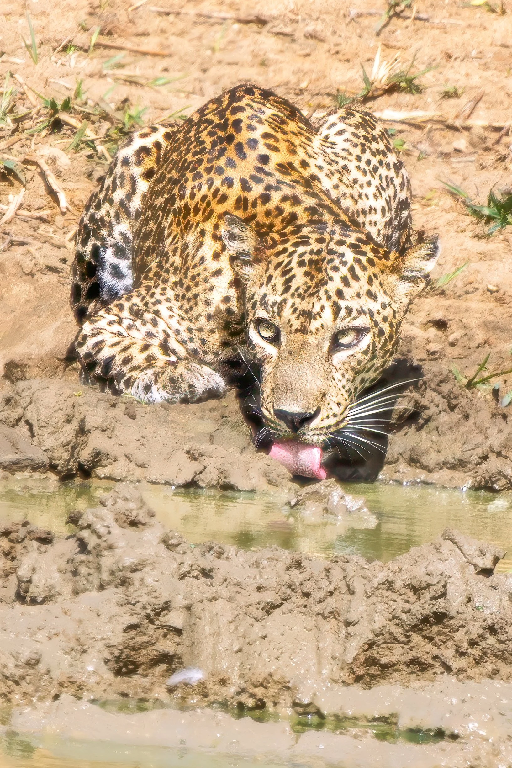 _24A2901-Edit.jpg