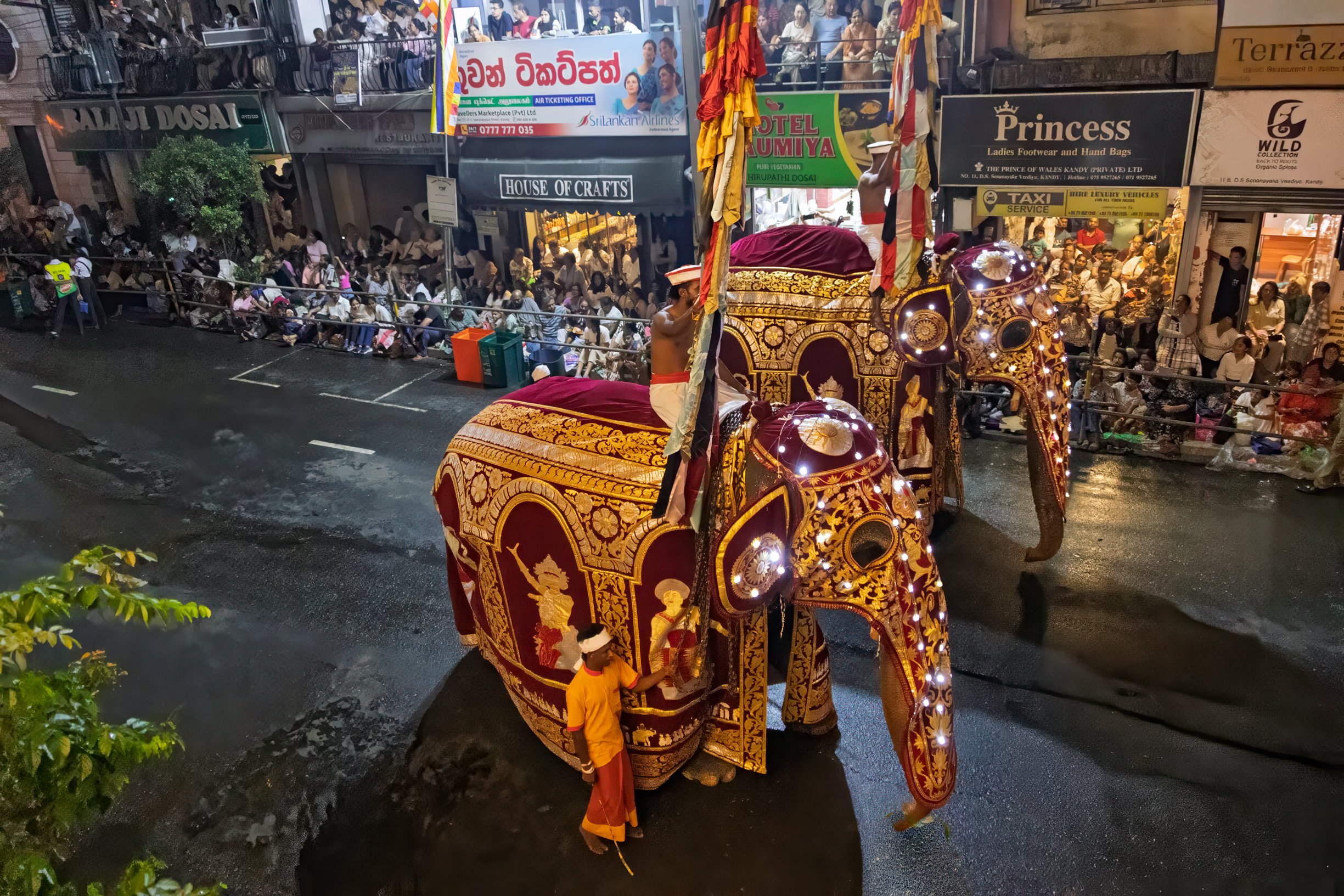 _24A2602-Edit-Edit.jpg