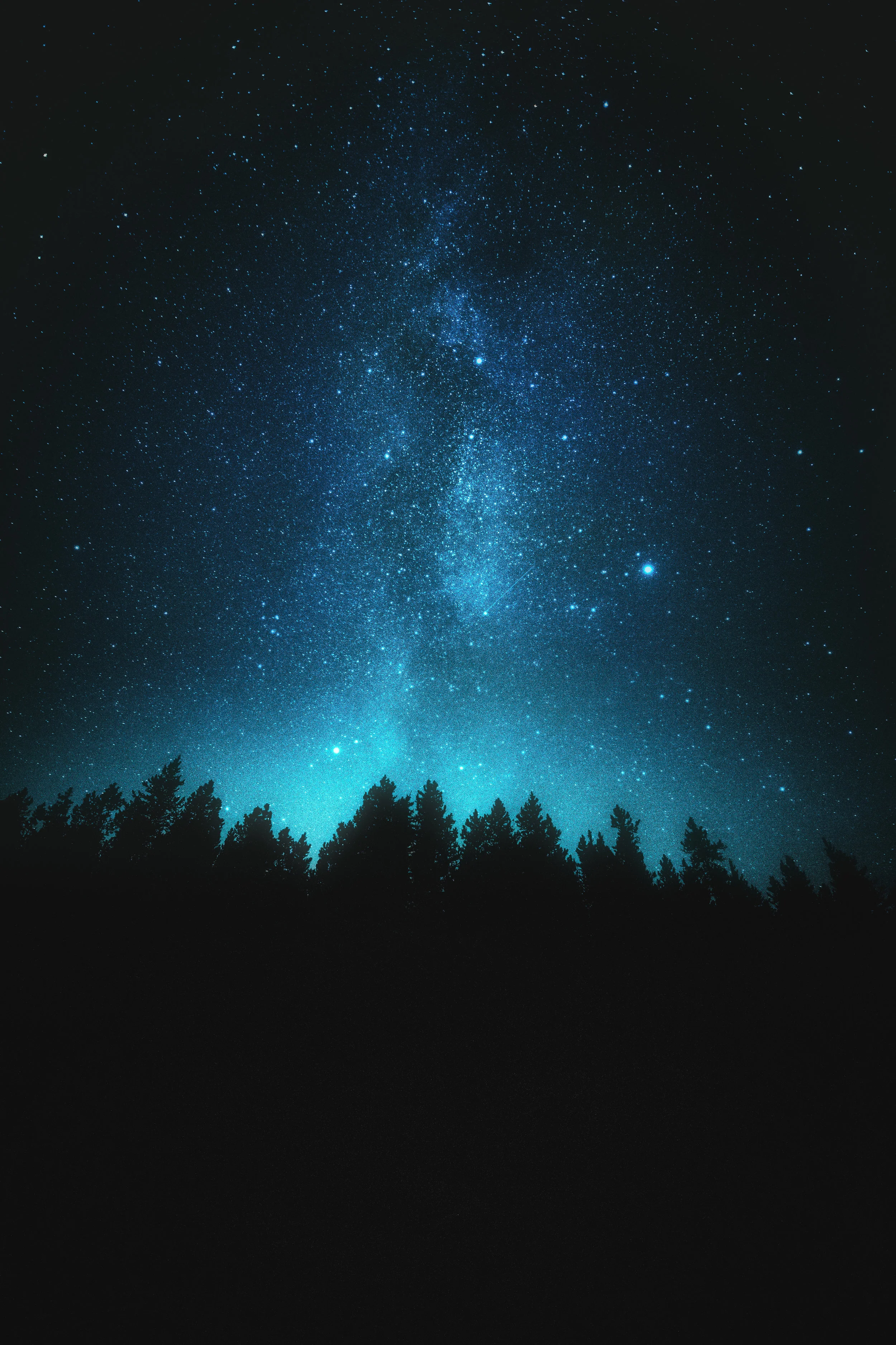5D3_5650-Edit.jpg