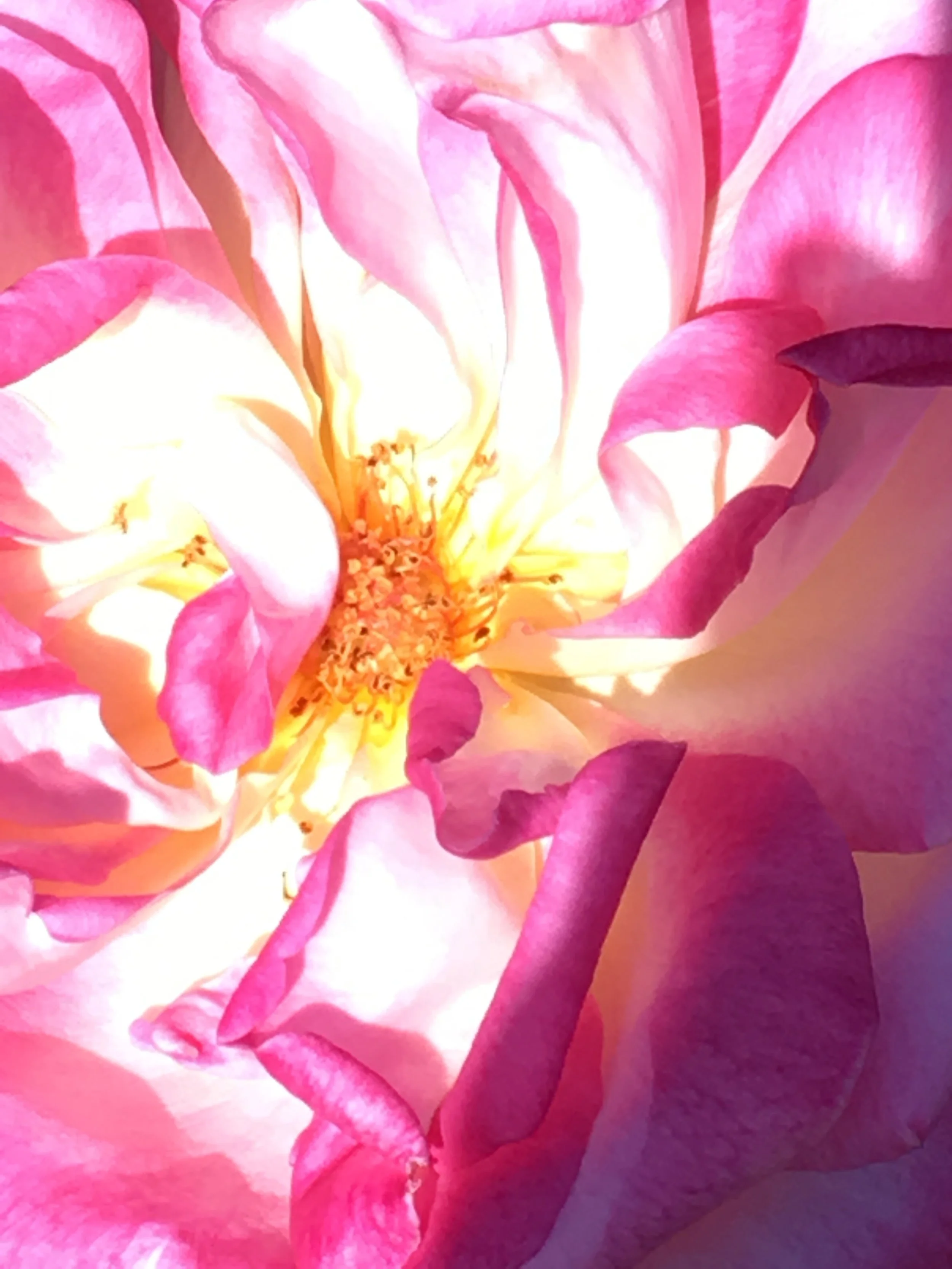 May_0742.JPG