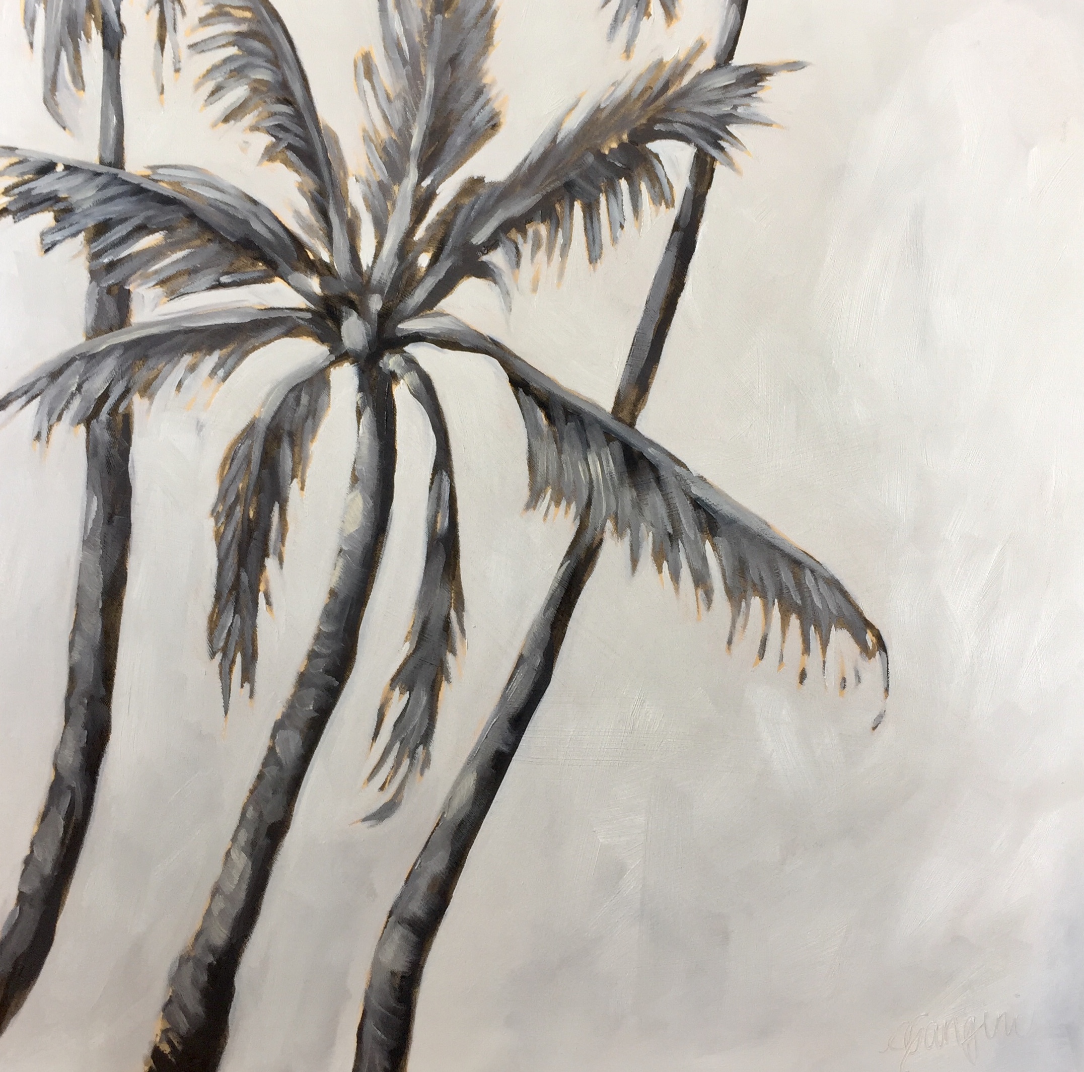 Black &amp; White Palms
