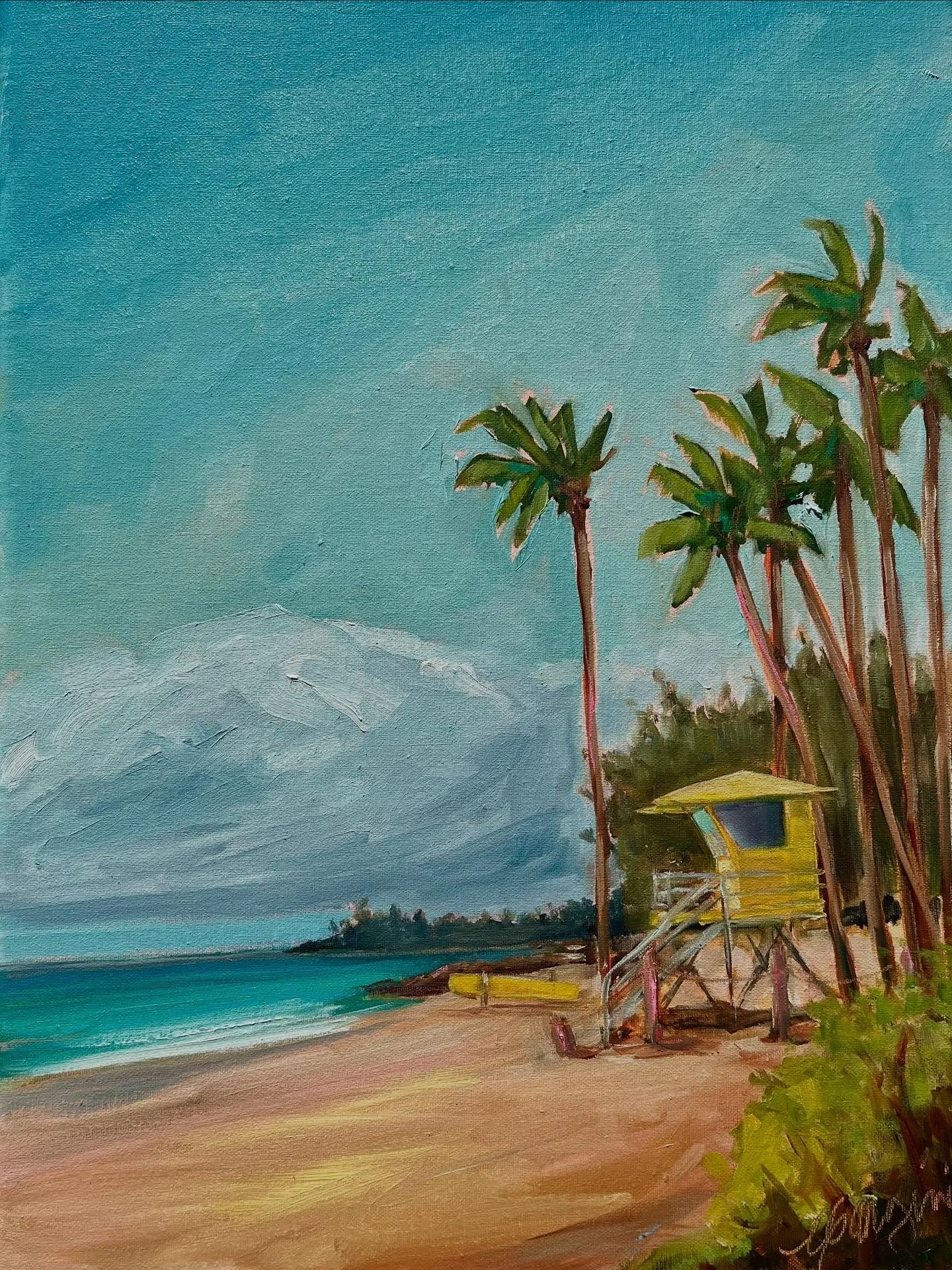 &lsquo;Baldwin Beach&rsquo; When my daughters were young I would drop them off at school in Paia and then go for a run on Baldwin Beach, I stopped running when got distracted by the shells, I spent many hours picking shells here. When I started home 