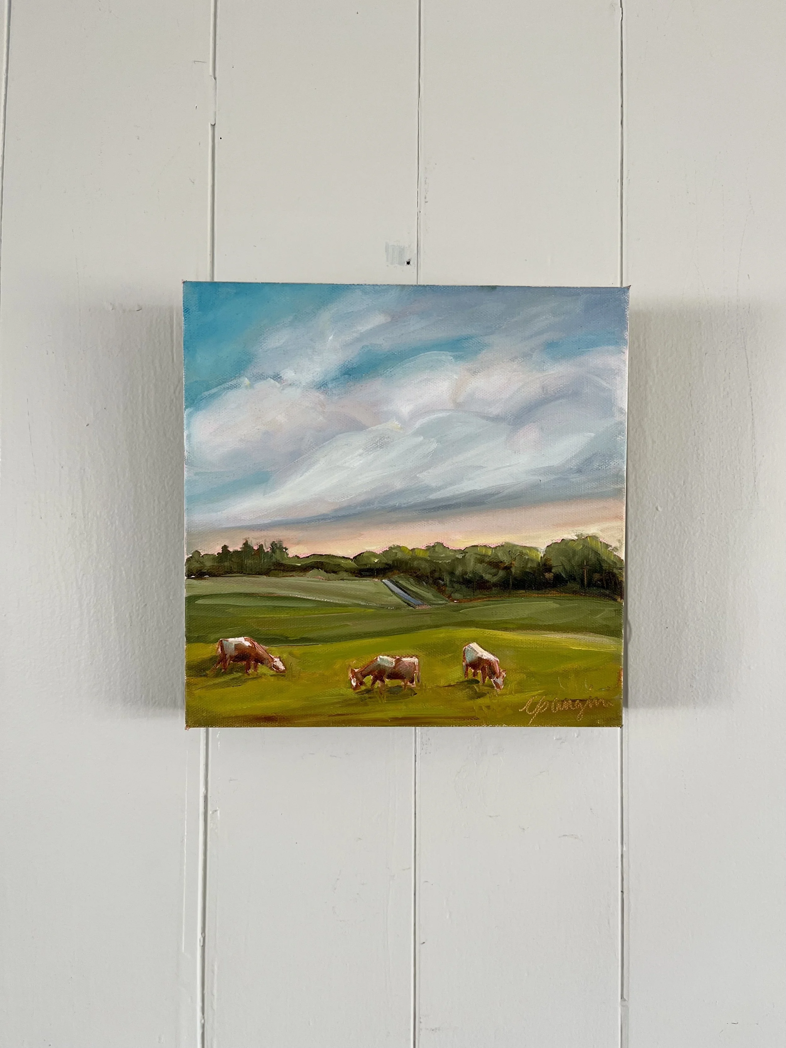 IMG_3529 olinda cows no. 1 full.jpg