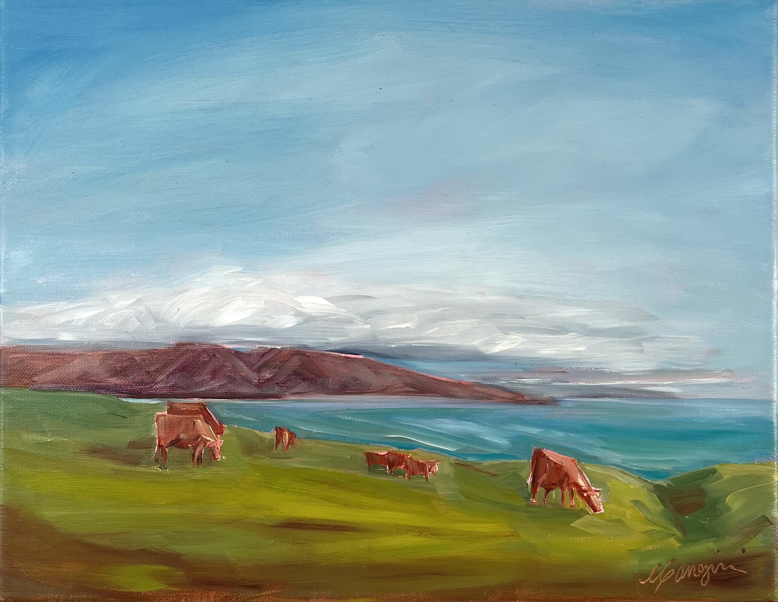 IMG_1190 Cattle at Turtle Bay.jpg