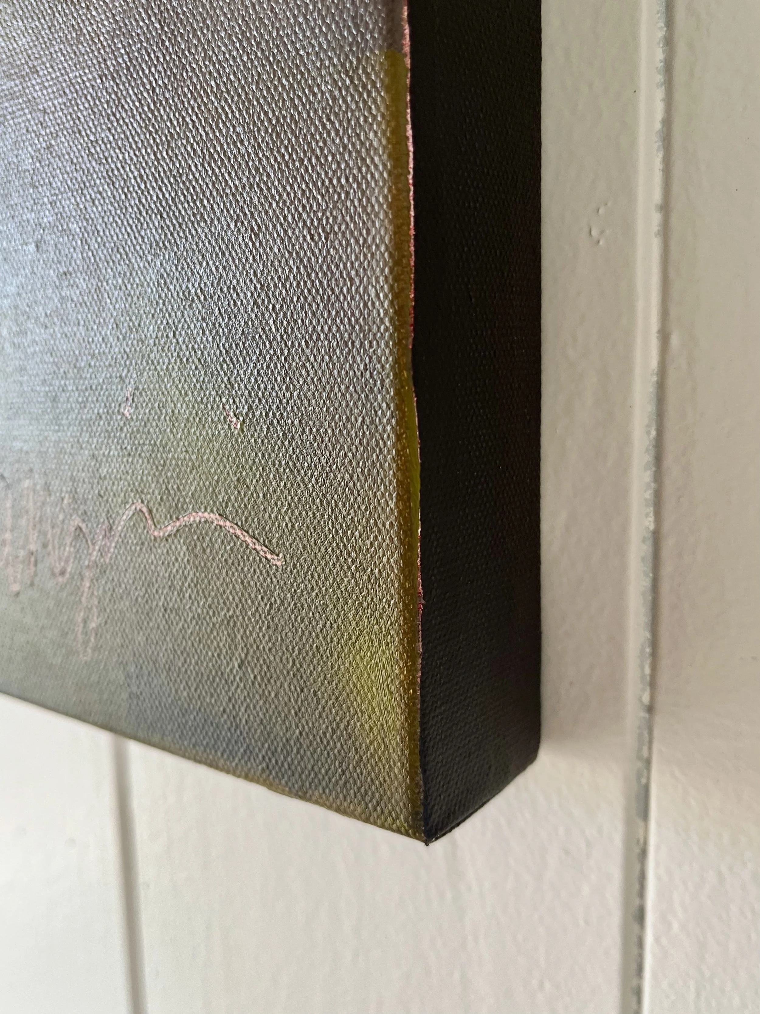 IMG_3938 thunbergia laurifolia no. 2 edge.jpg