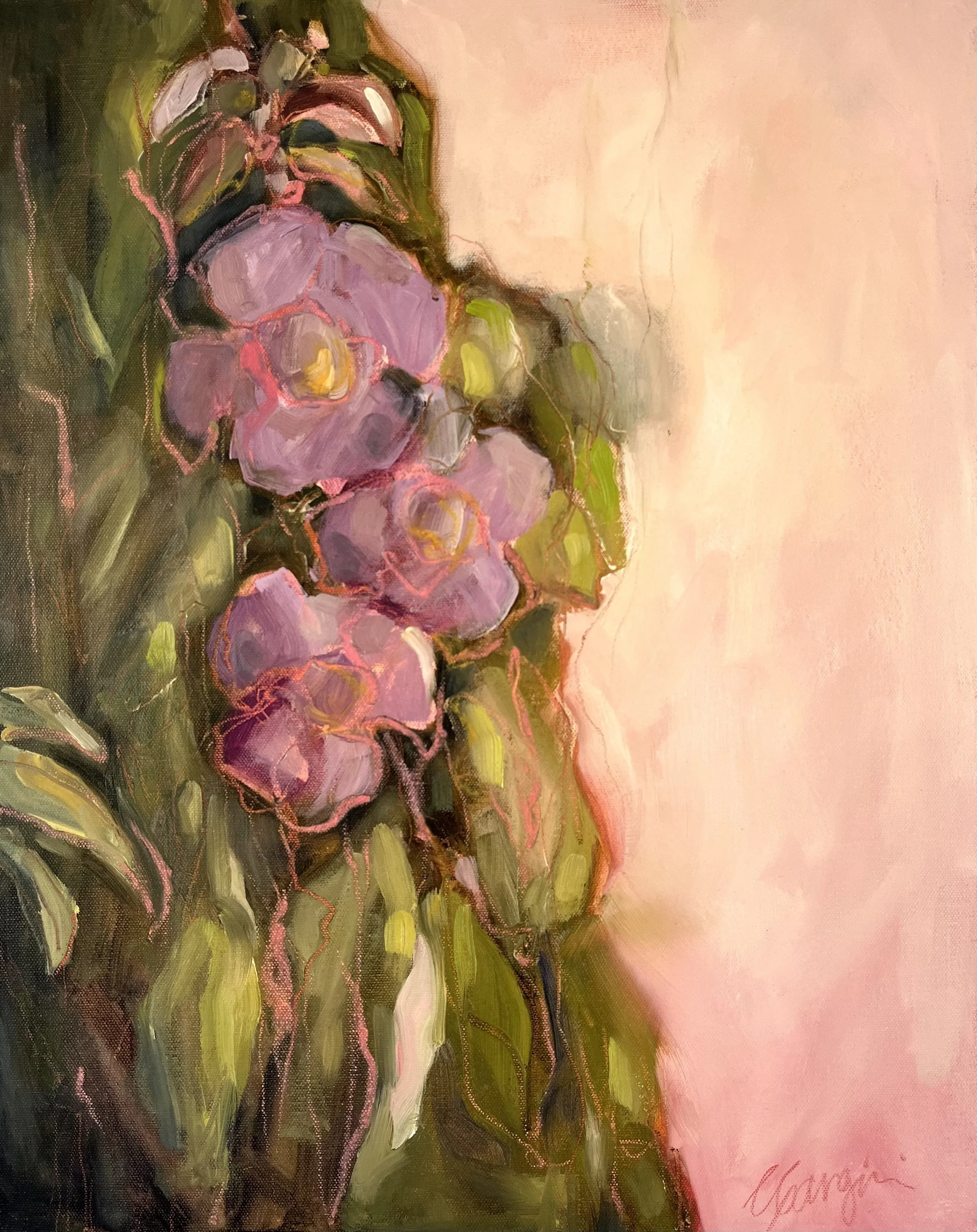 IMG_3957 thunbergia flower no. 2.jpg