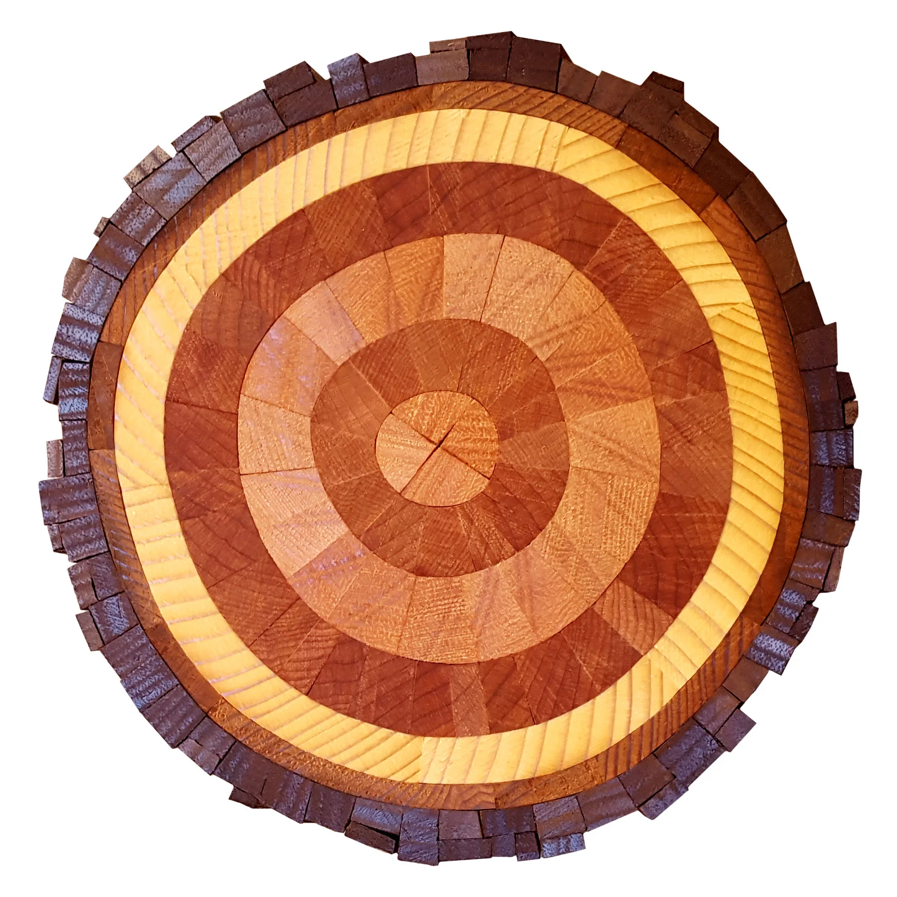 FICTITIOUS TREE SECTION 02