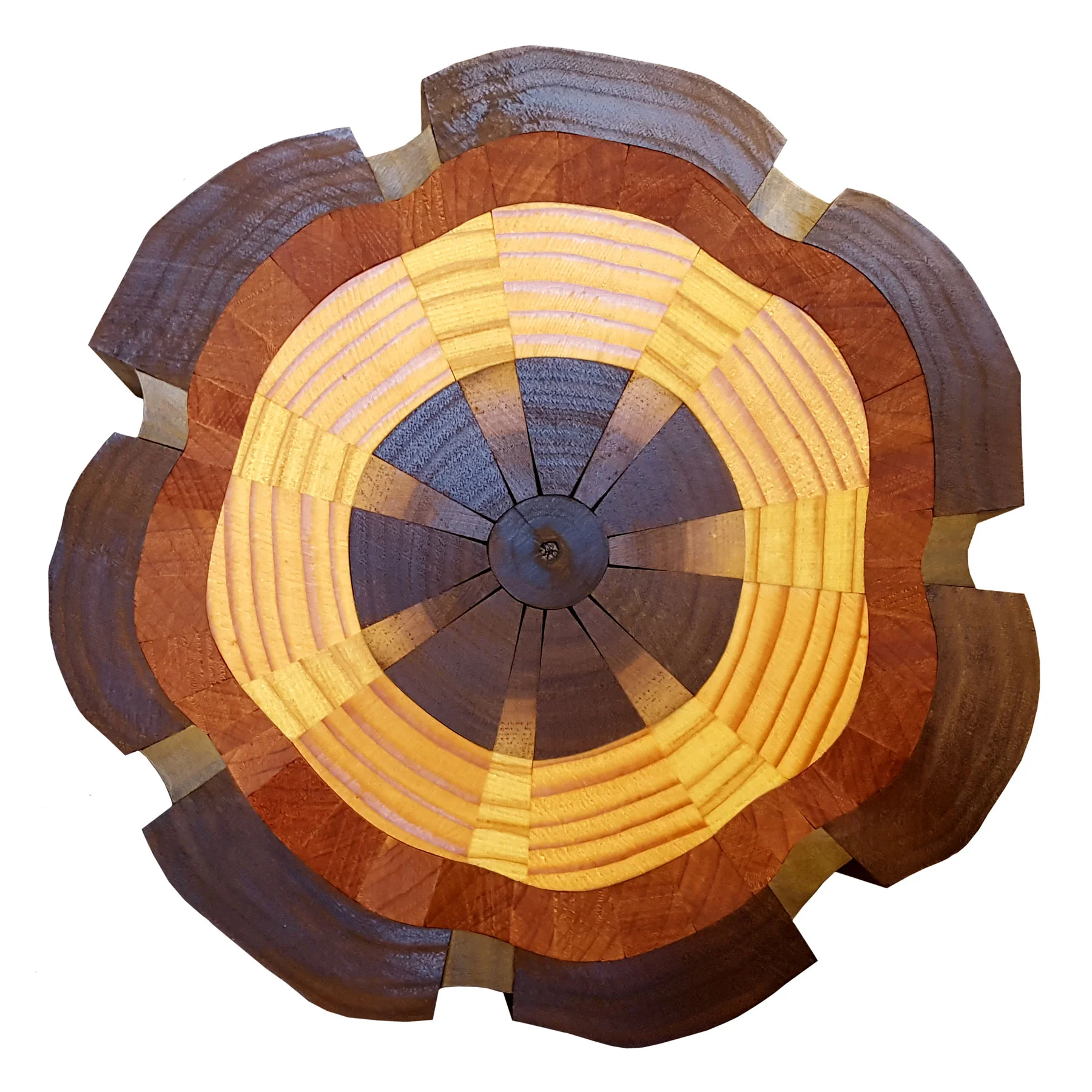 FICTITIOUS TREE SECTION 04