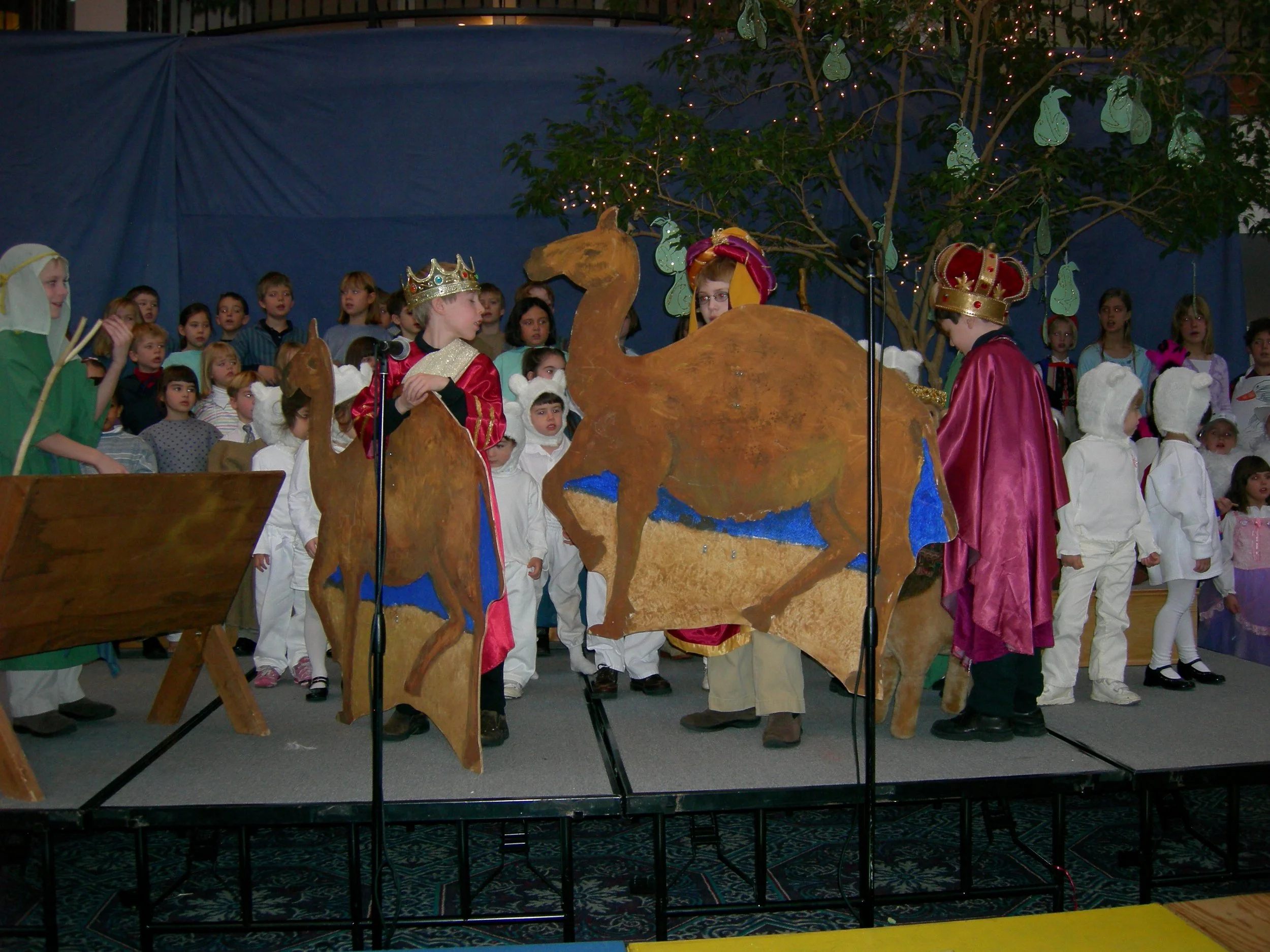 camels and kings.jpg