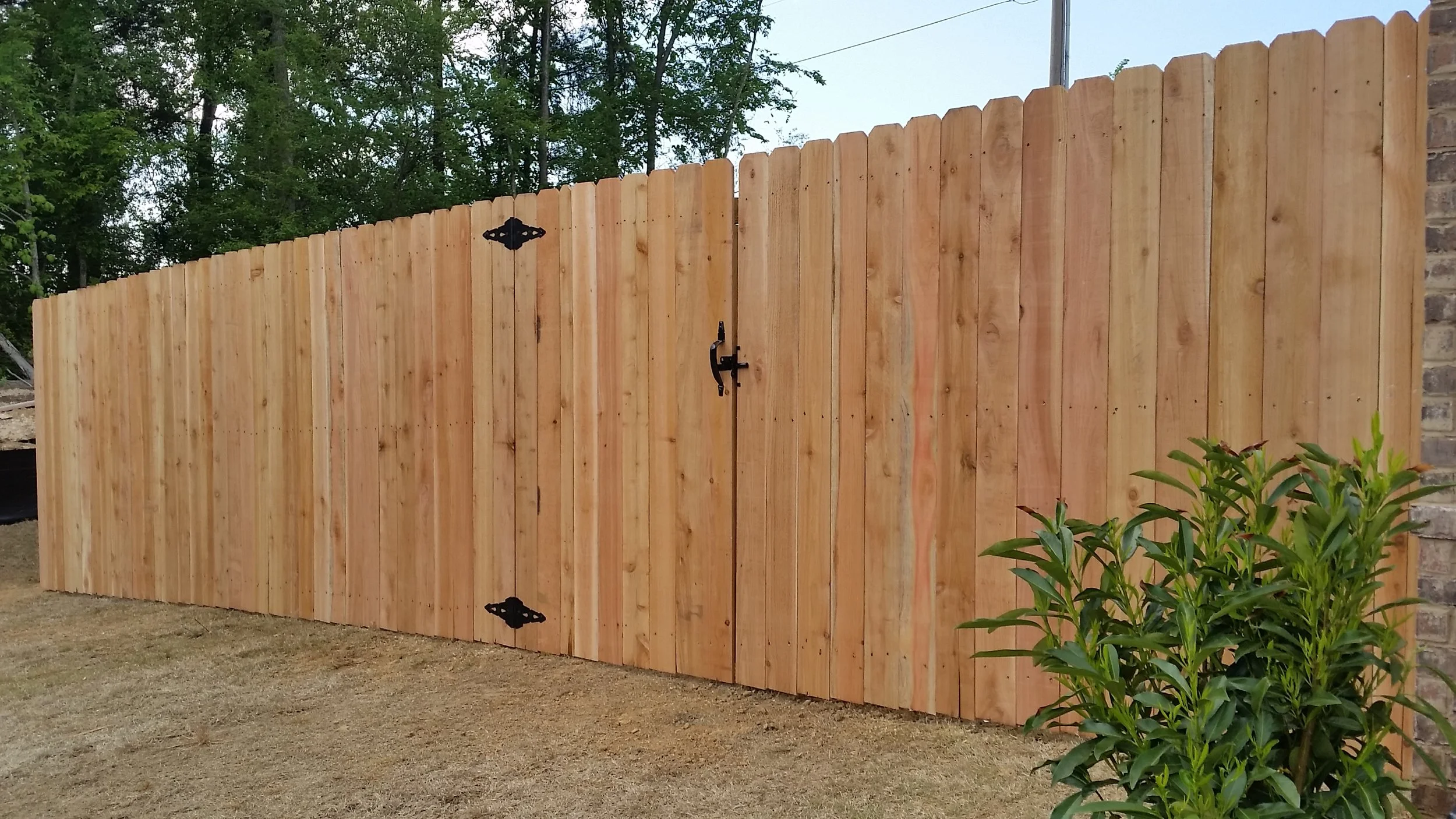 Cedar fence.jpg