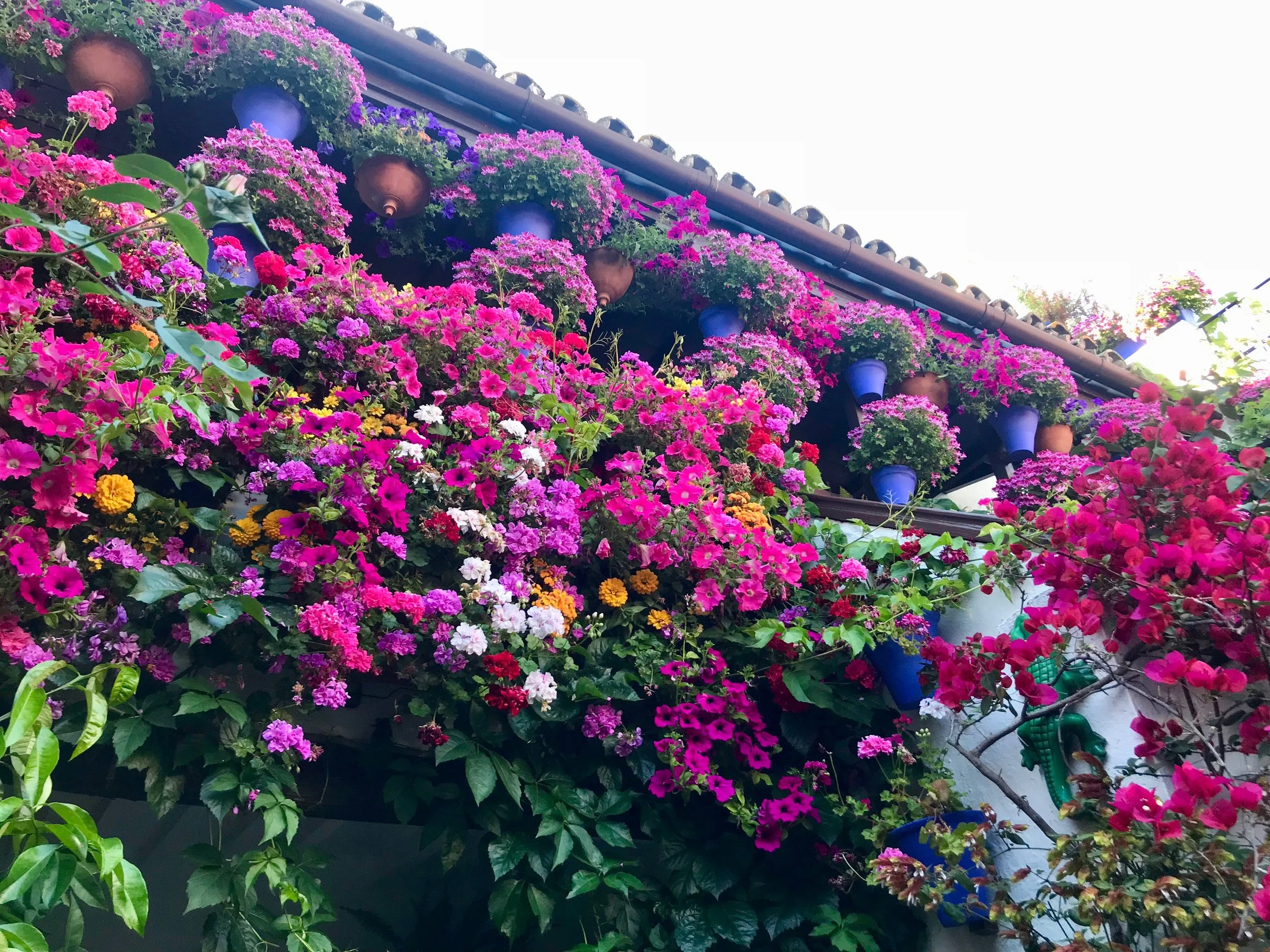 Arguably the most famous patio, which wins its category most years, is this one in San Basilio.