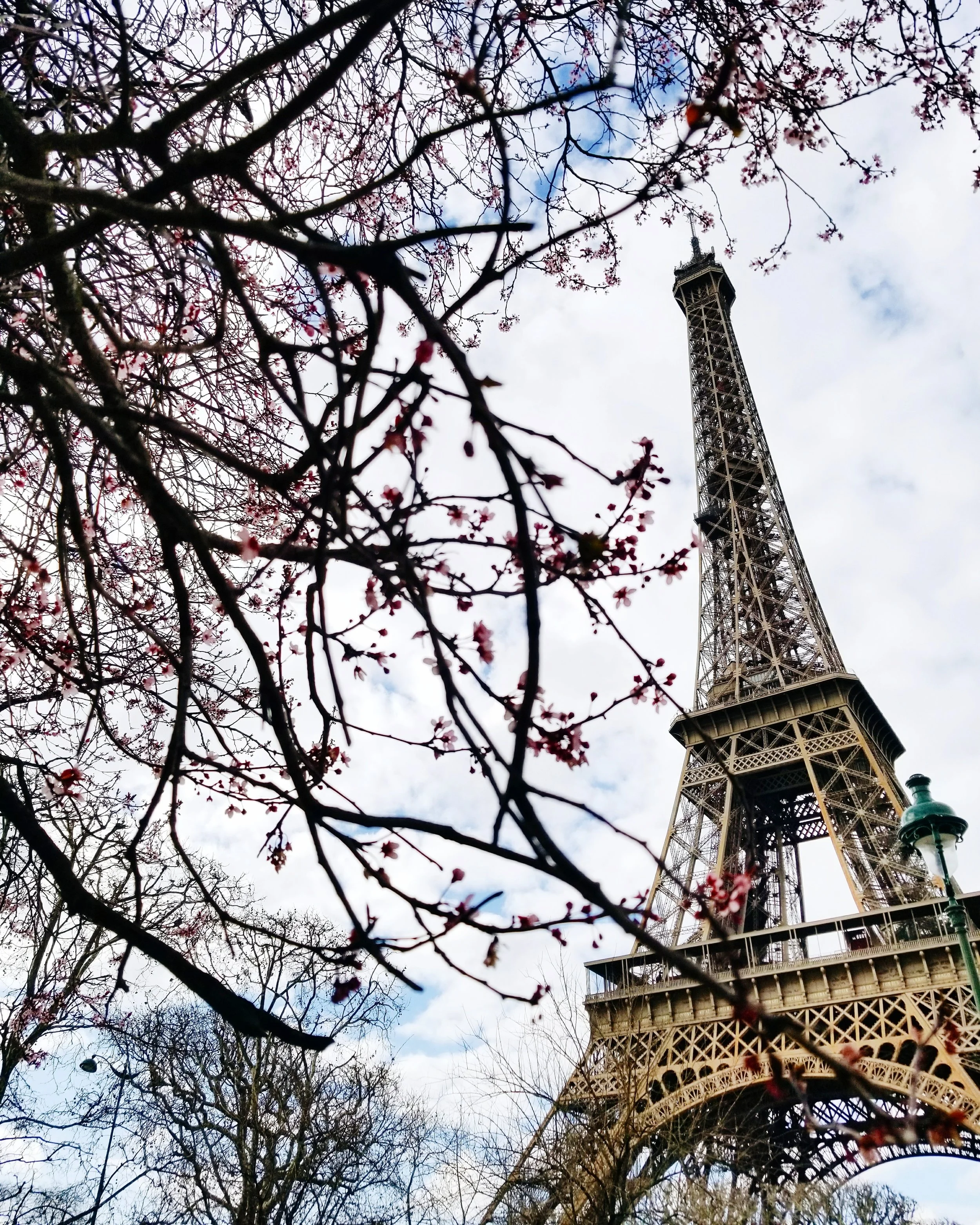 postcards-from-paris-eiffel-tower.jpg