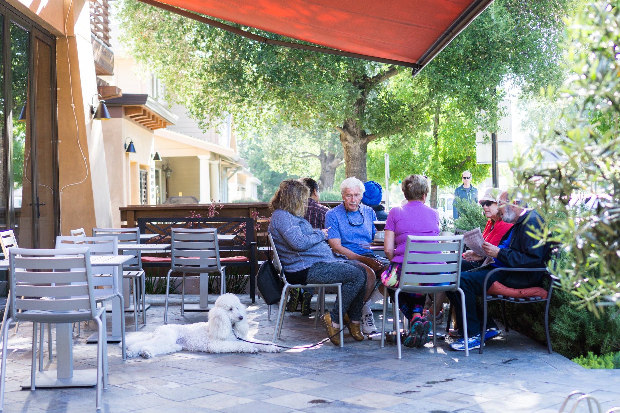 Sue's Gallery and Cafe, Saratoga, California. Of the 4 days I was in Saratoga, this group met at this cafe for three of them. 