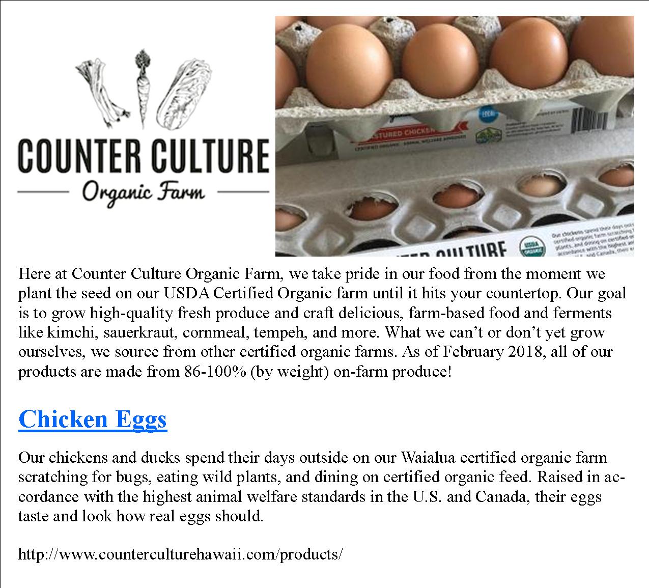 CounterCulture-Eggs.jpg